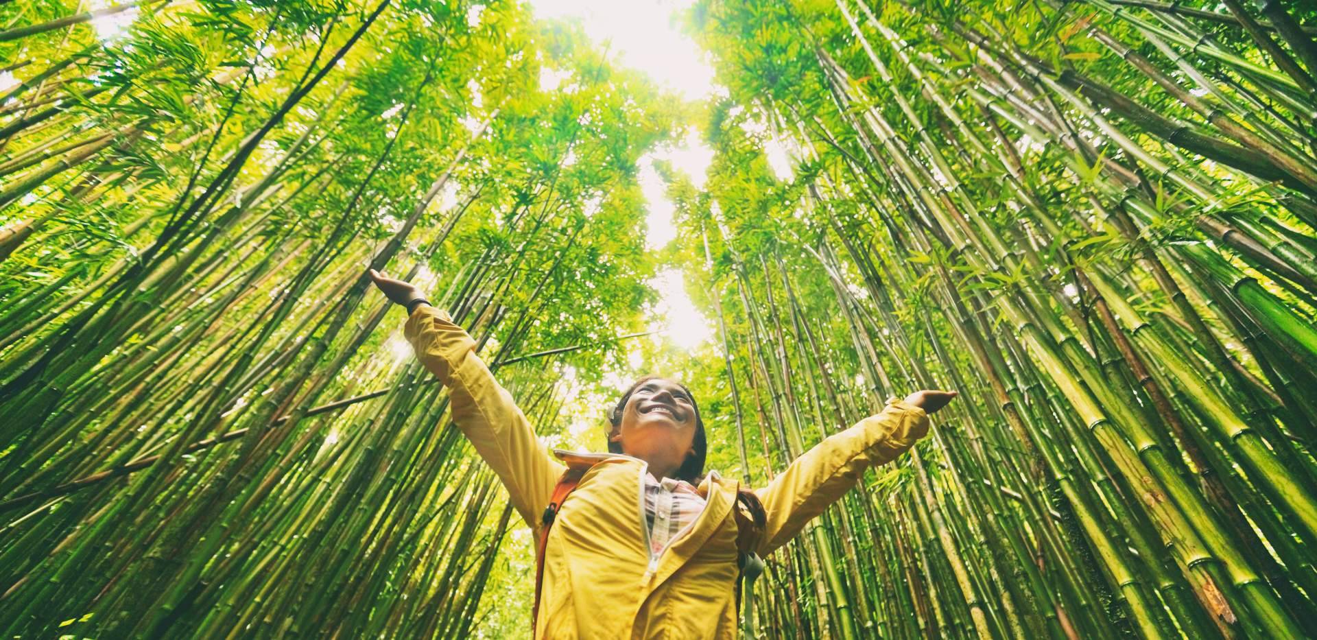 Multienergía Verde apuesta por la ecoeficiencia