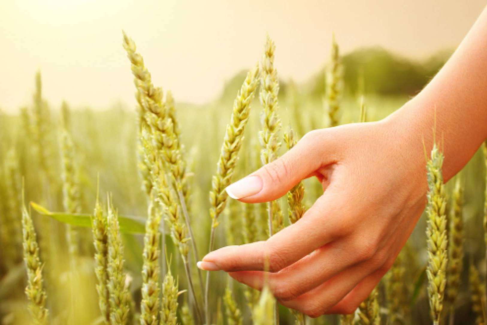 Vida Natural promueve la salud y el bienestar con productos Robis