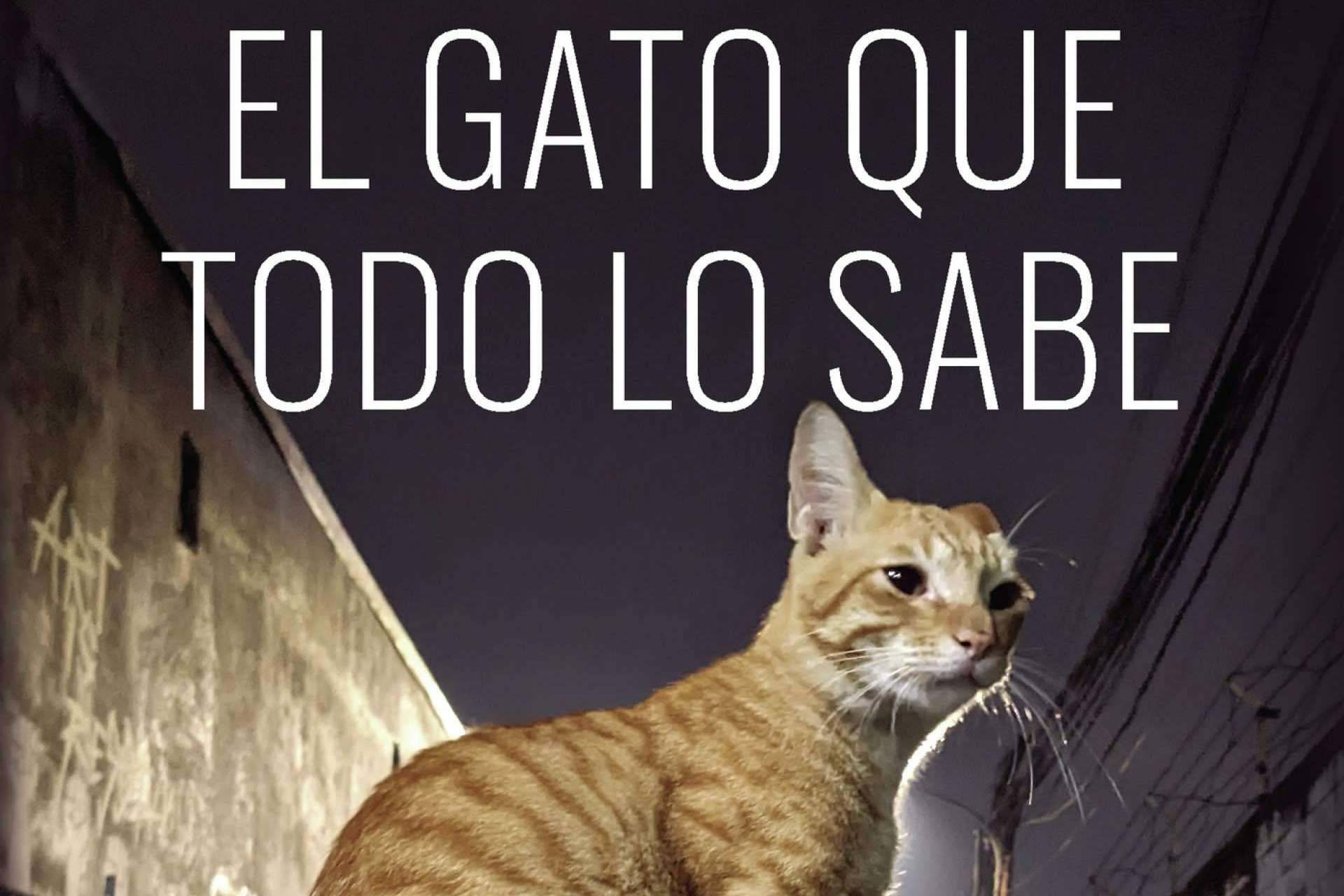 Editorial Caligrama presenta el debut de Fernando Hevia con un apasionante drama familiar, ‘El gato que todo lo sabe’