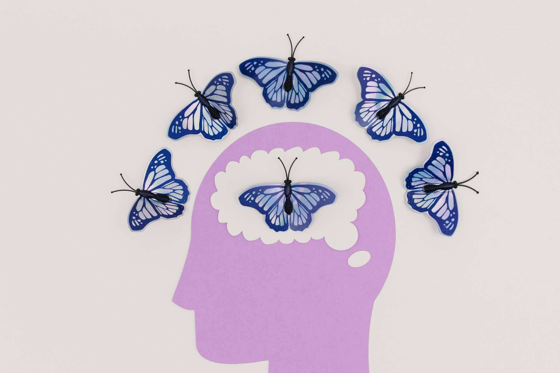 Aprender a reprogramar el cerebro con la Programación Neurolingüística (PNL)
