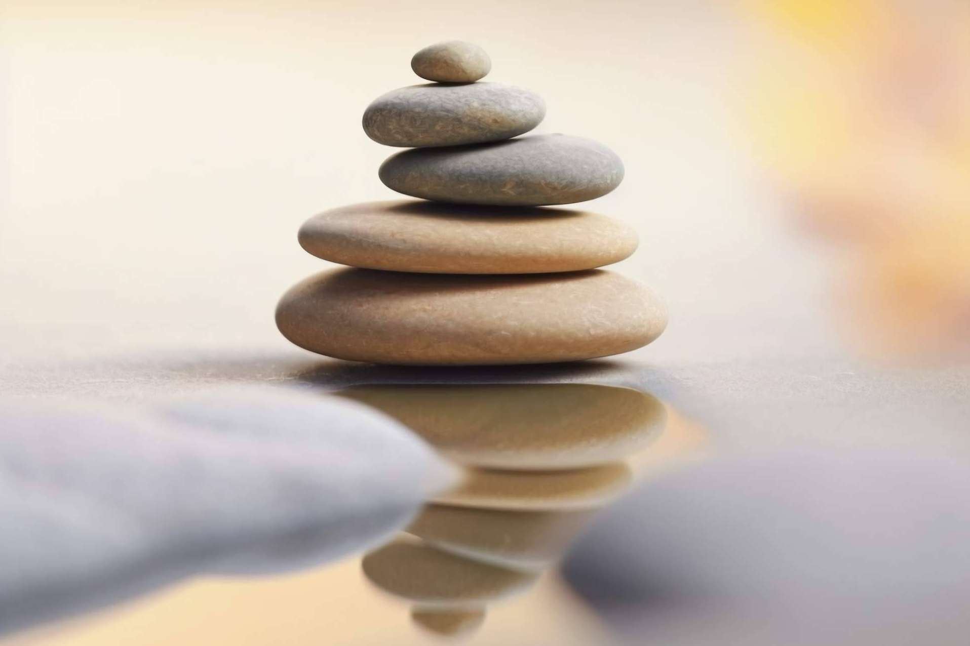 Direct Nutrition y sus suplementos naturales para equilibrar los sistemas del cuerpo