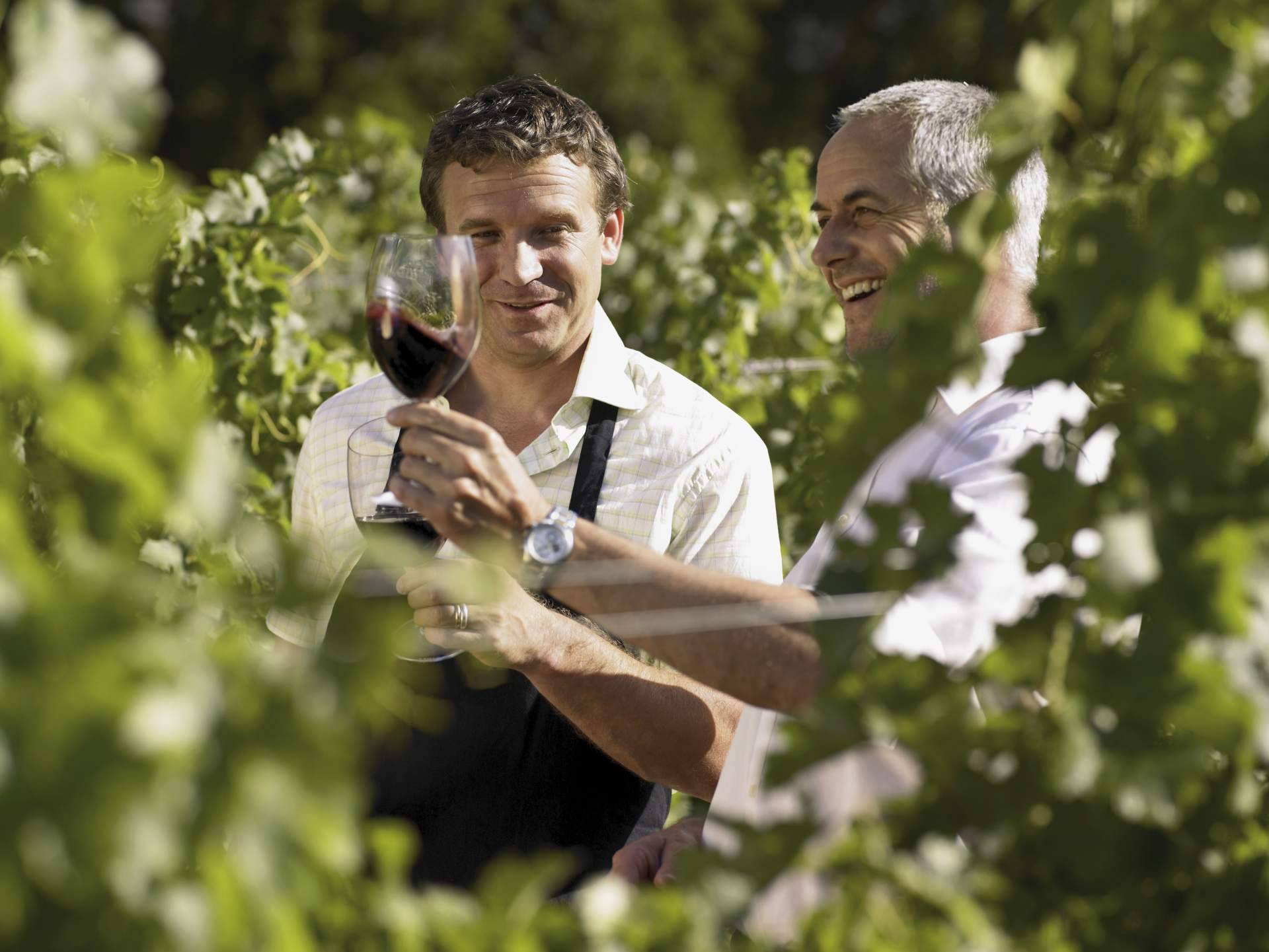 Yecla, la tierra de la uva Monastrell