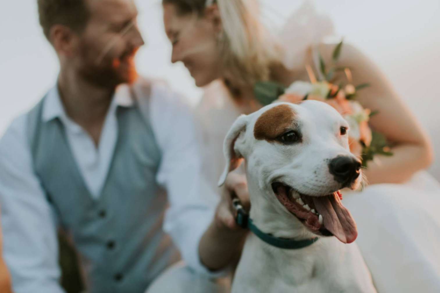 Sweet Toffee; La agencia de Wedding Planner que añade dulzura y ternura a la boda
