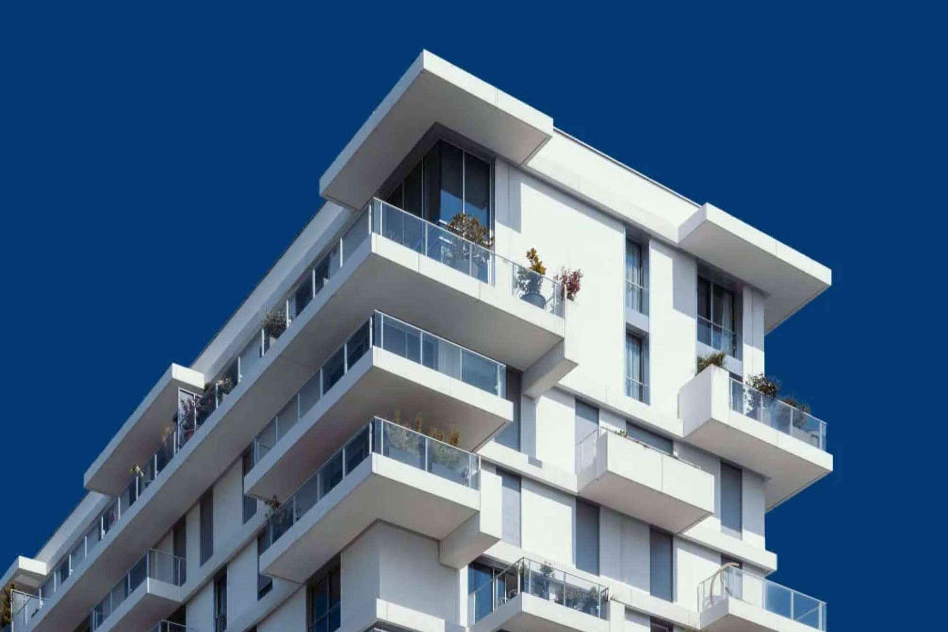 Cardona Estate; Un oasis de experiencia y excelencia en el mercado inmobiliario de Ibiza