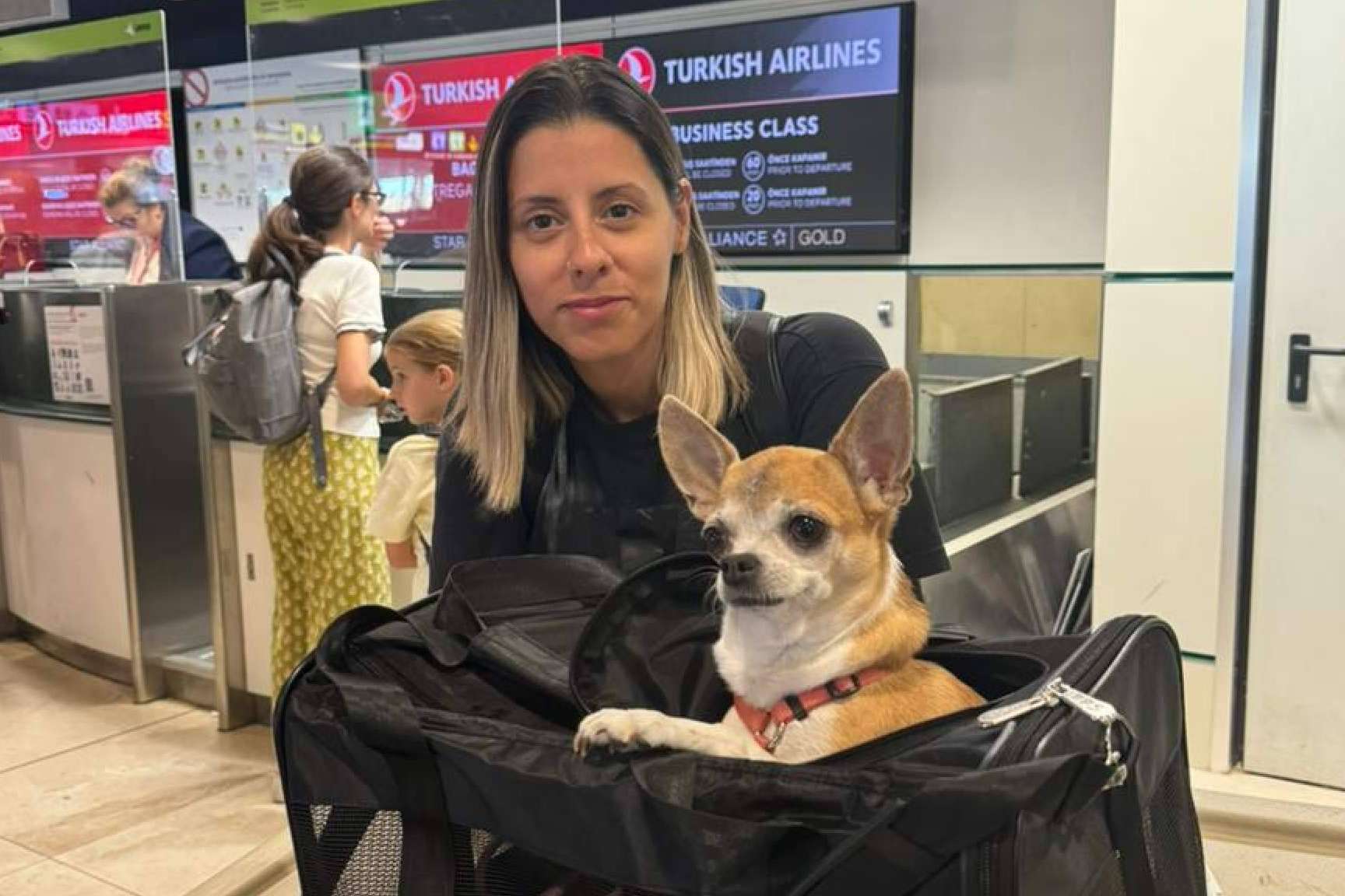 Pet World Travel ofrece un servicio de transporte de mascotas por toda Europa y distintos destinos en América