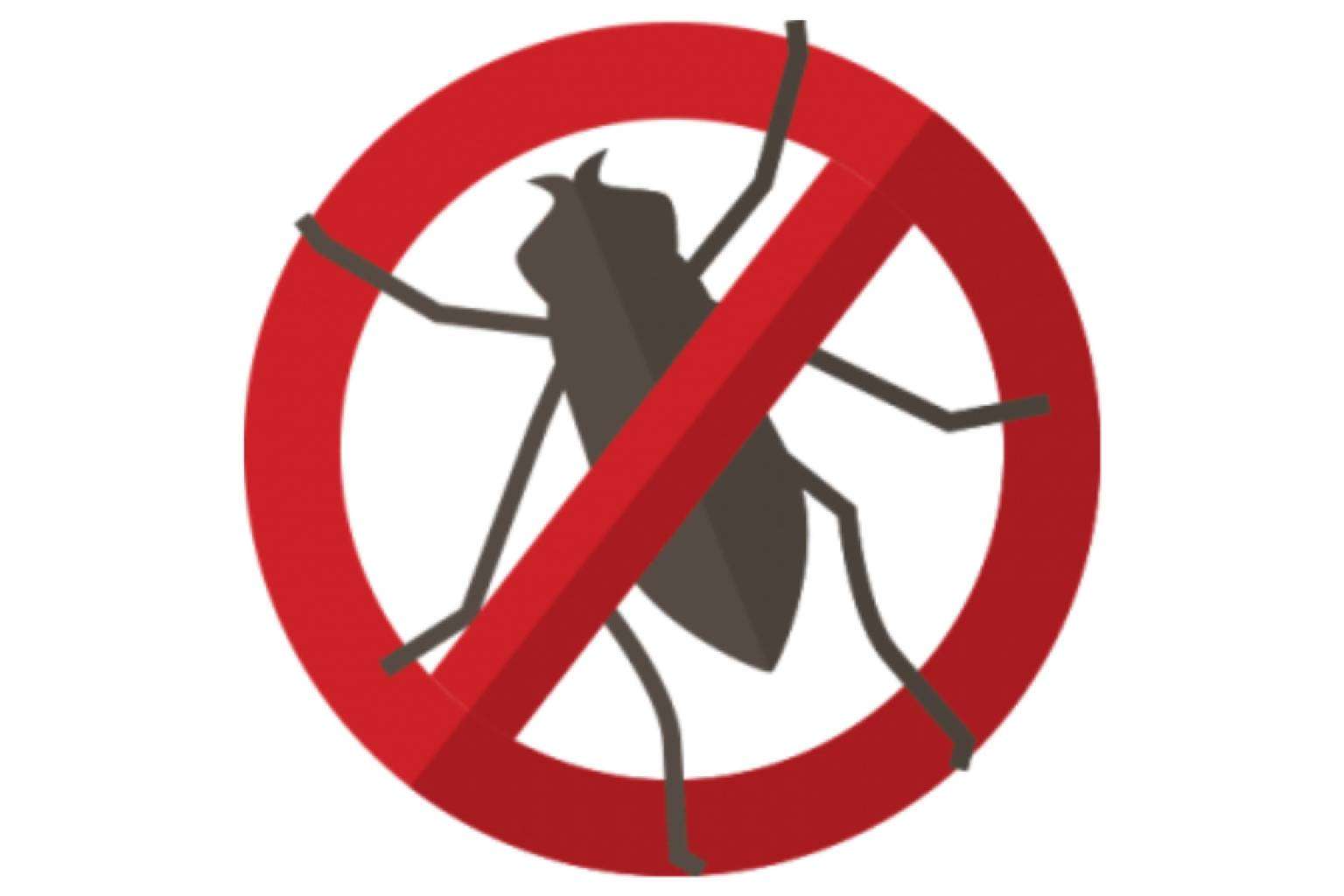 Exterminio de cucaracha de las cocinas con precio cerrado en Málaga, de la mano de DMR Control de Plagas