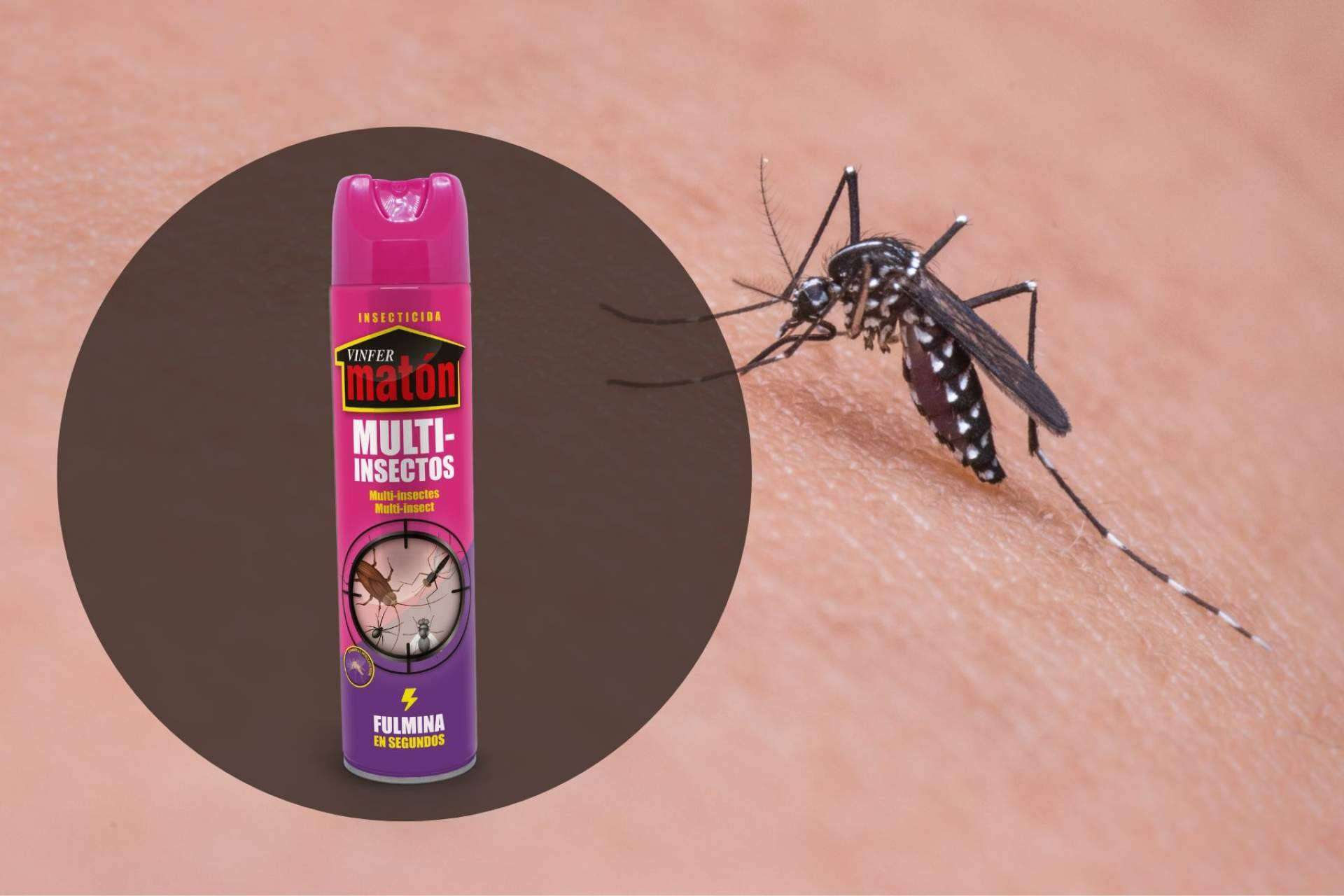 El insecticida Vinfermatón, de Laboratorios Vinfer, ayuda a combatir el mosquito del Nilo