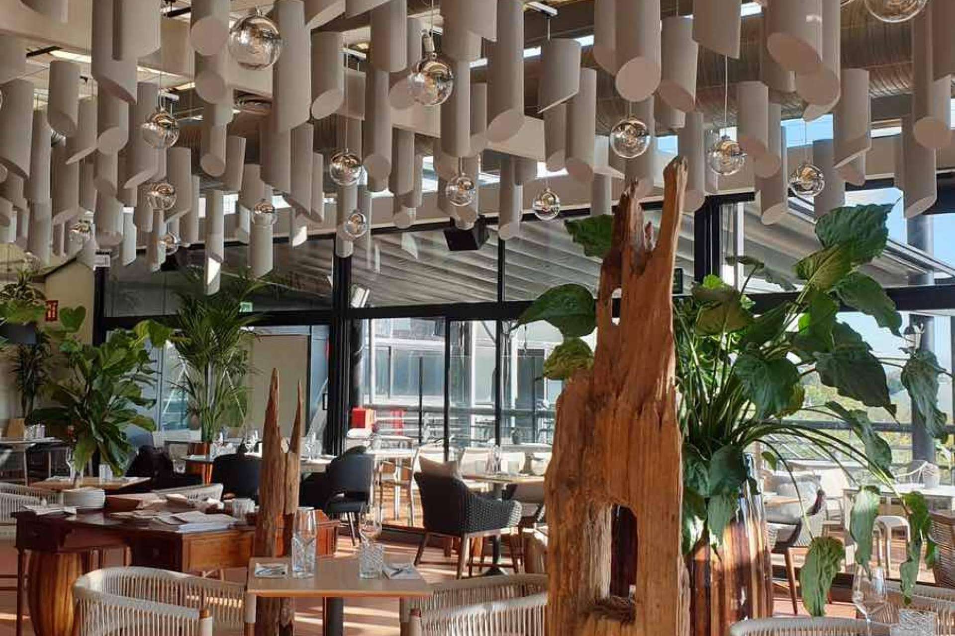 Proyectos de acondicionamiento acústico en restaurantes con los paneles de Absotec