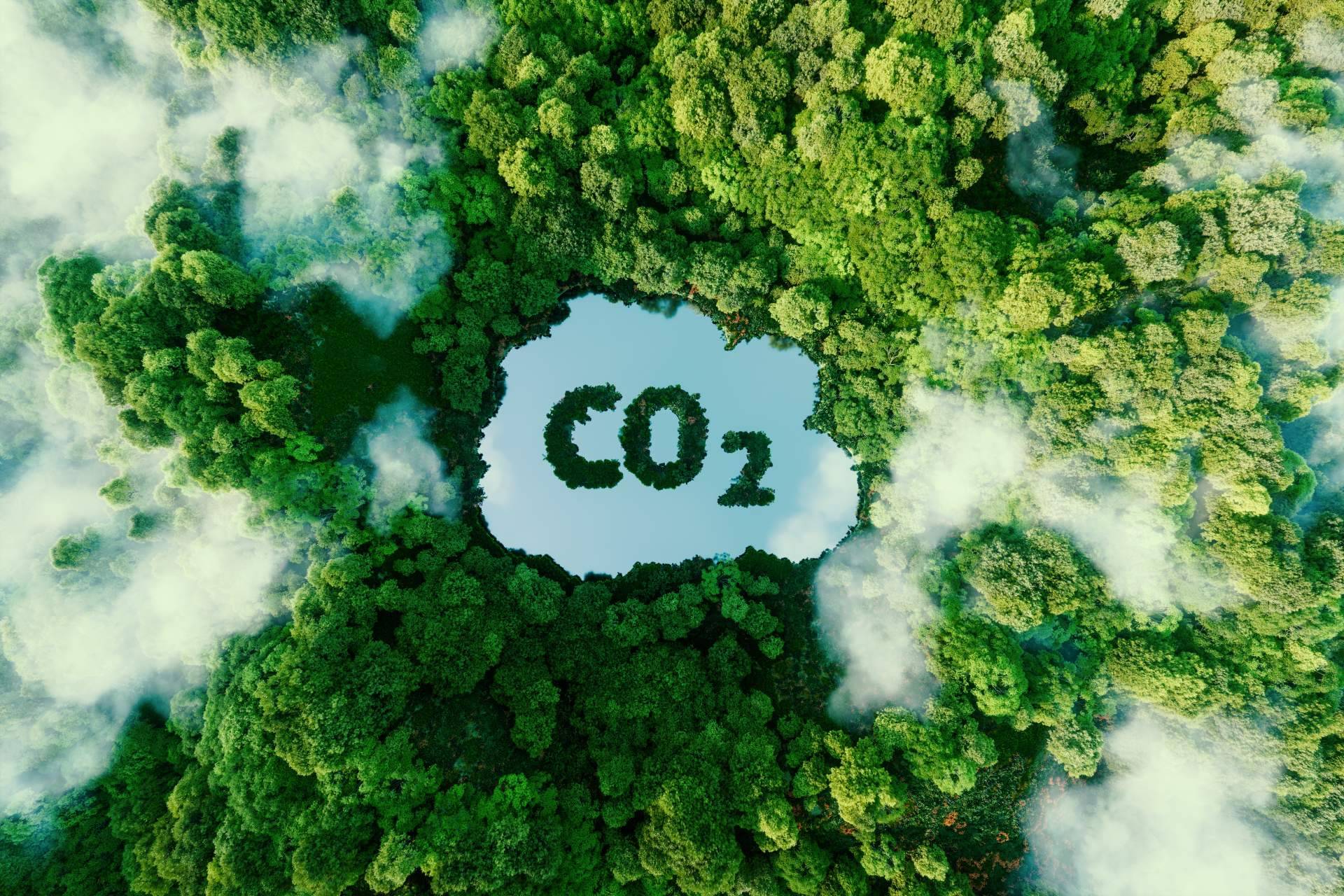 El futuro es energía; participación ciudadana para descarbonizar España