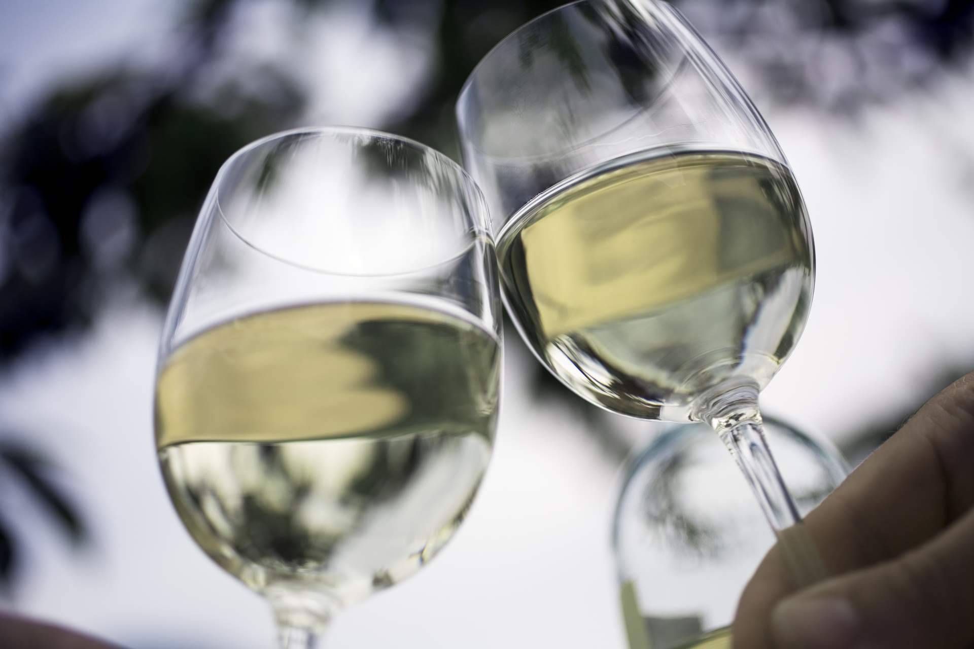 Naturelovers Wines impulsa la sostenibilidad con vinos ecológicos de alta calidad