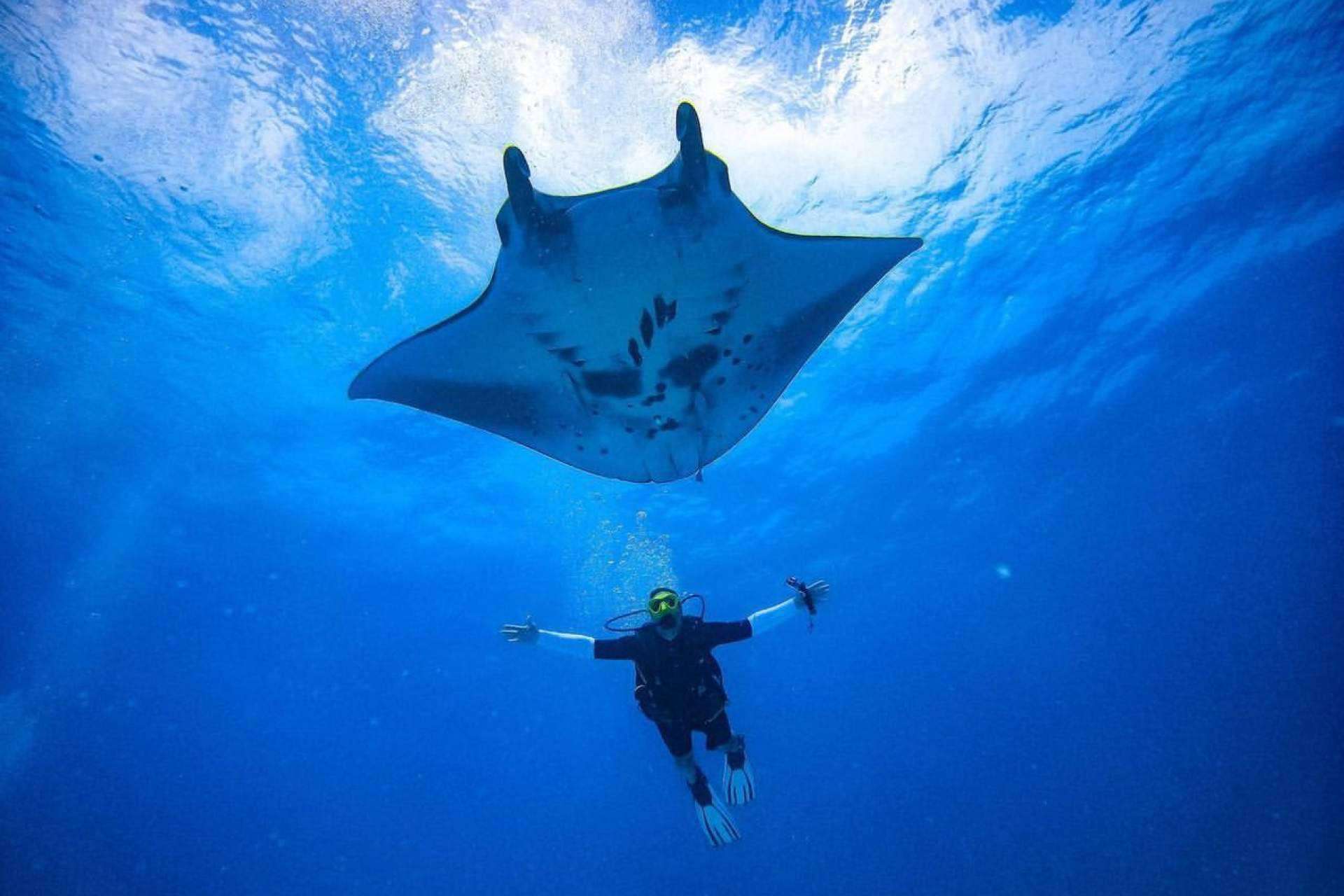 Drop Dive Maldives, la escuela de buceo española en el ranking de Maldivas