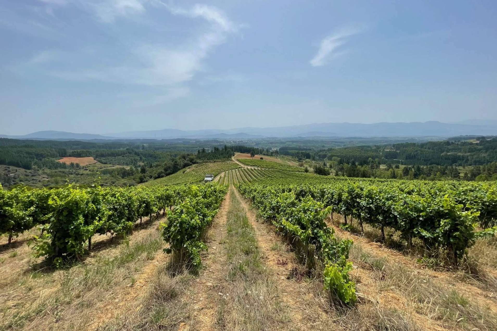 Las notas de El Bierzo recorrerán Roma, Amalfi y Madrid con Gancedo