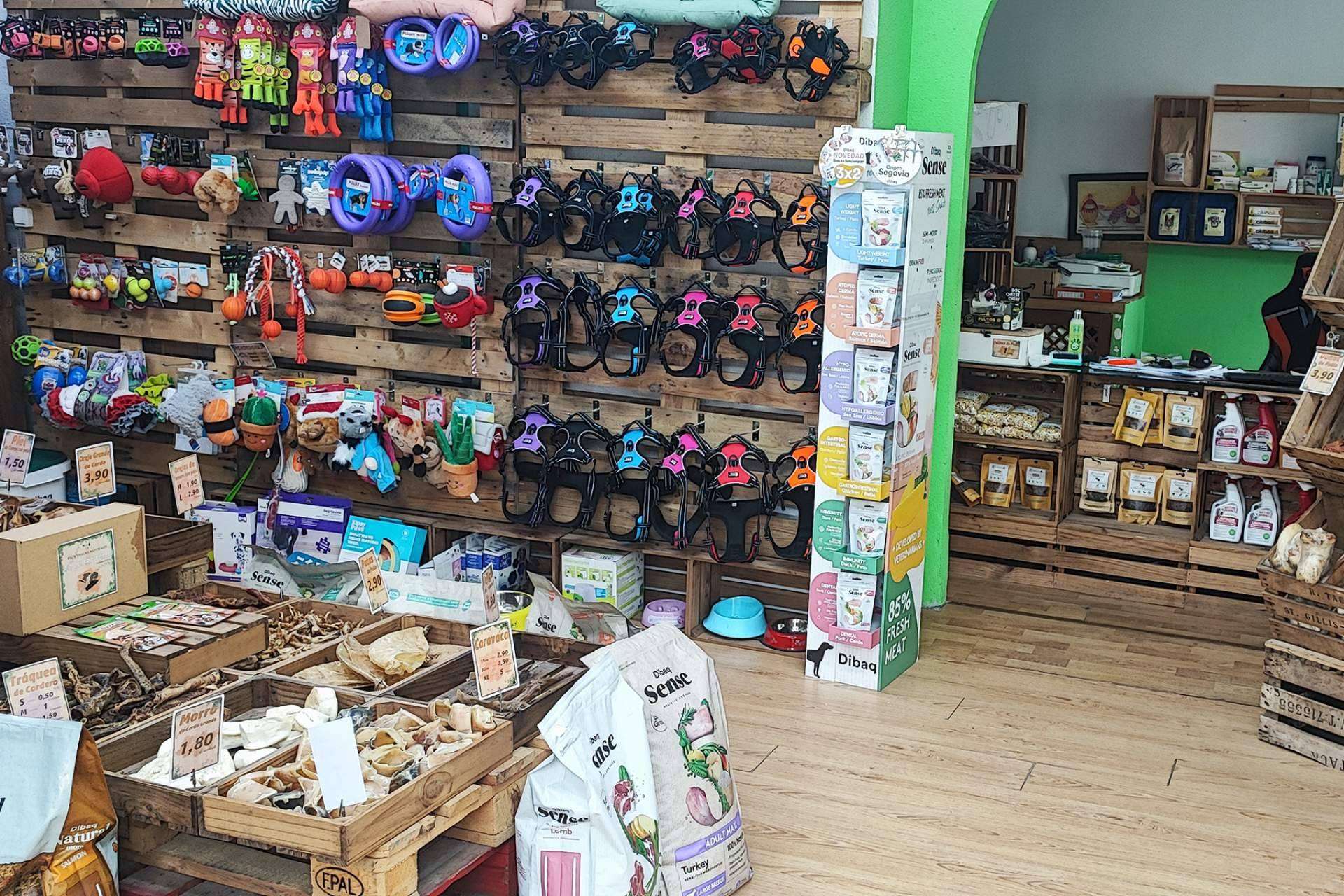 En ‘ParaMascotas’ creen que el peludo merece ser el más feliz del mundo