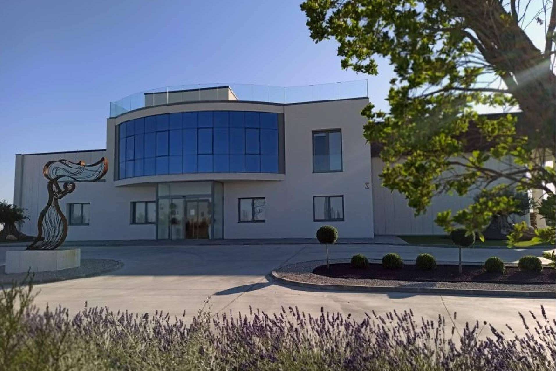 Bodegas Pandora culmina la Vendimia 2024 en la DO Rueda y la DO Toro