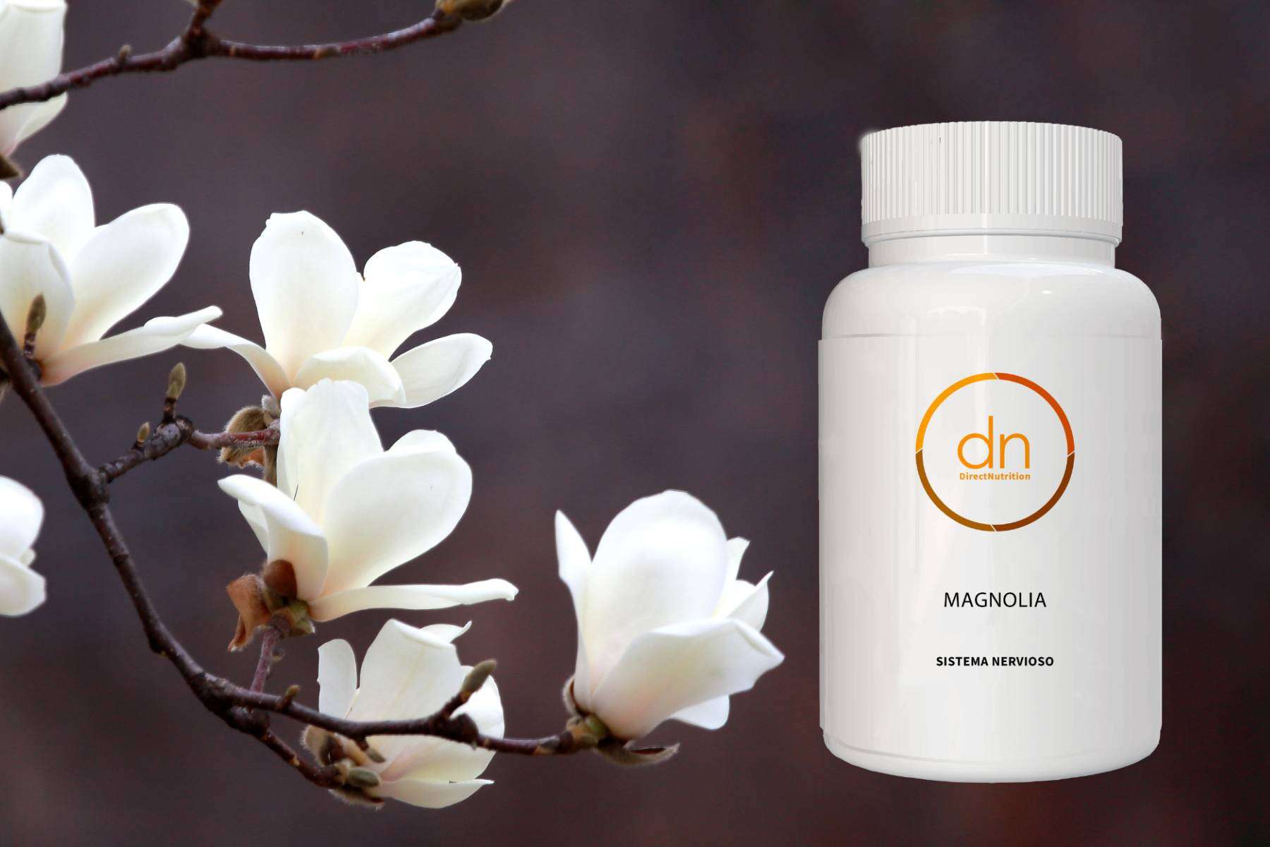 Los beneficios de la magnolia; una solución natural para el bienestar emocional y físico
