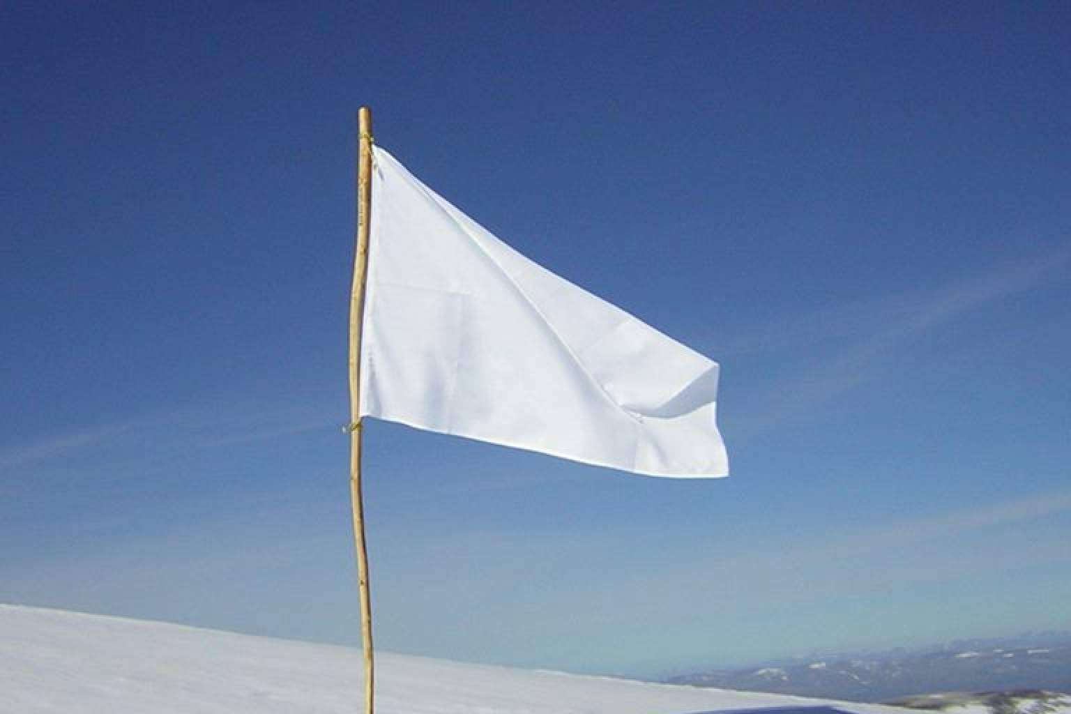 Propuesta de Paz