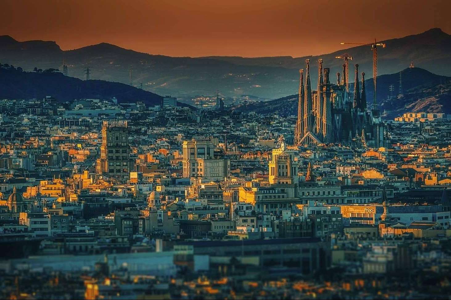Bourgeois Fincas optimiza la gestión patrimonial para maximizar la rentabilidad inmobiliaria