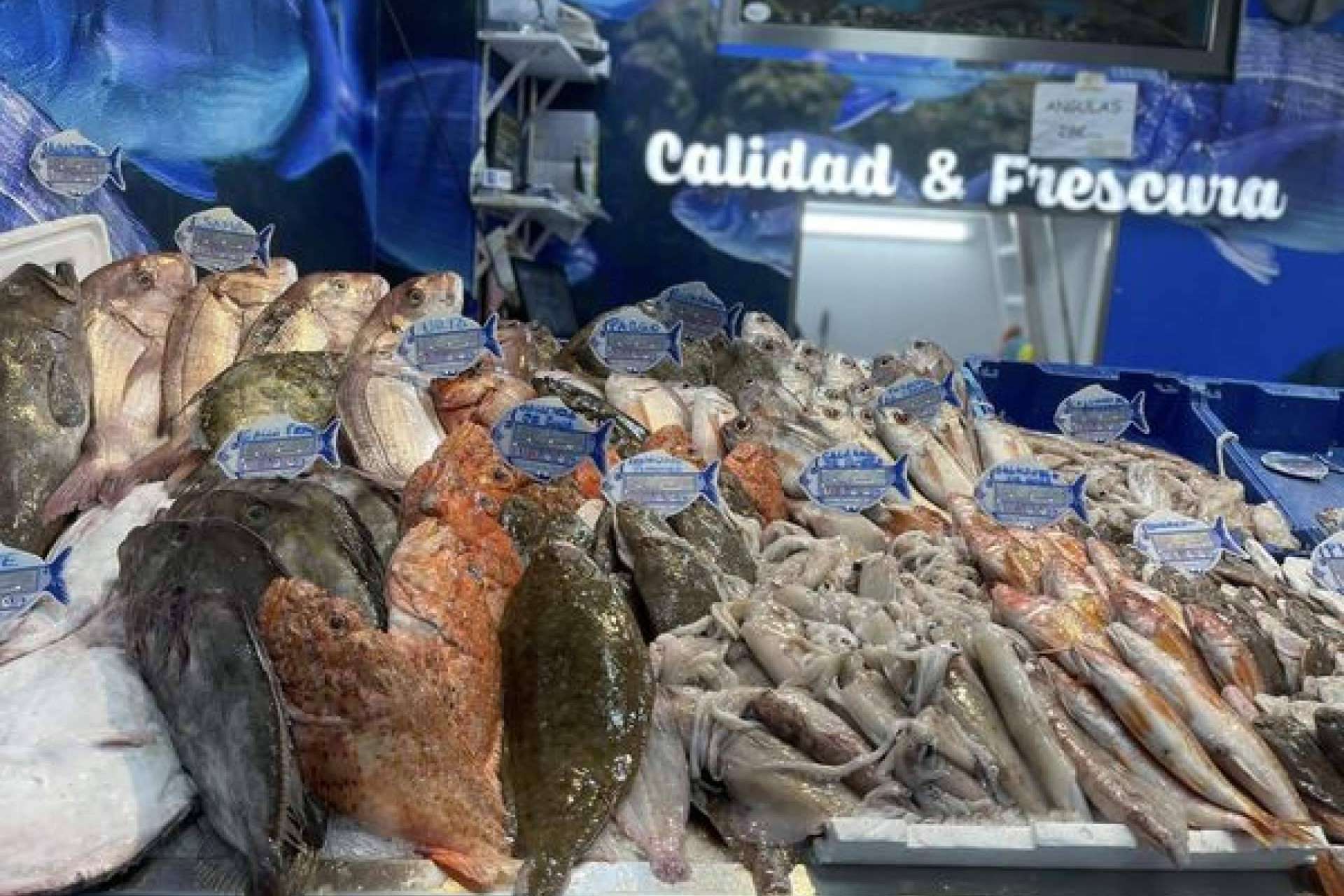 Pescadería Younes Ceuta, referencia en pescados y mariscos frescos del Mediterráneo