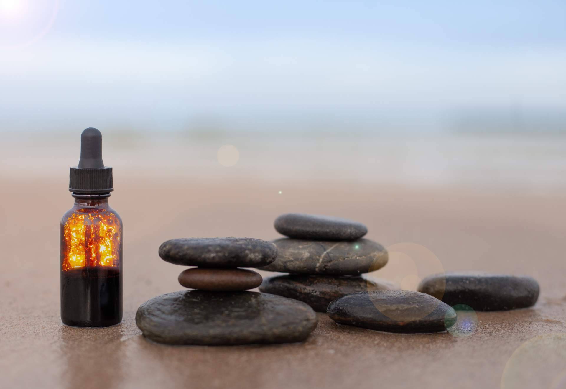 Fitoterapia y naturoterapia; salud y ahorro en una sola plataforma