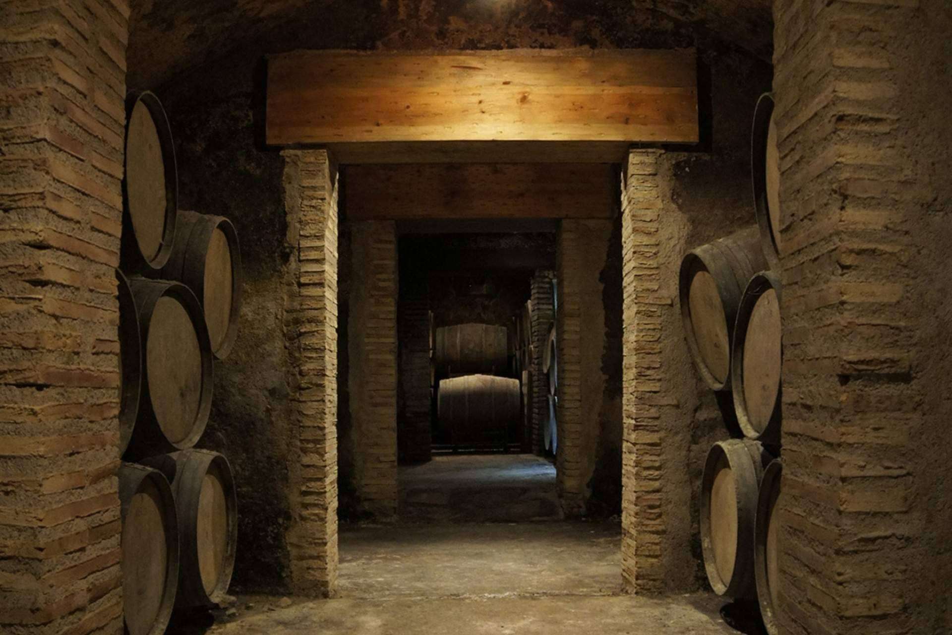 Bodegas Osca celebra 40 años de excelencia vitivinícola en la Denominación de Origen Somontano