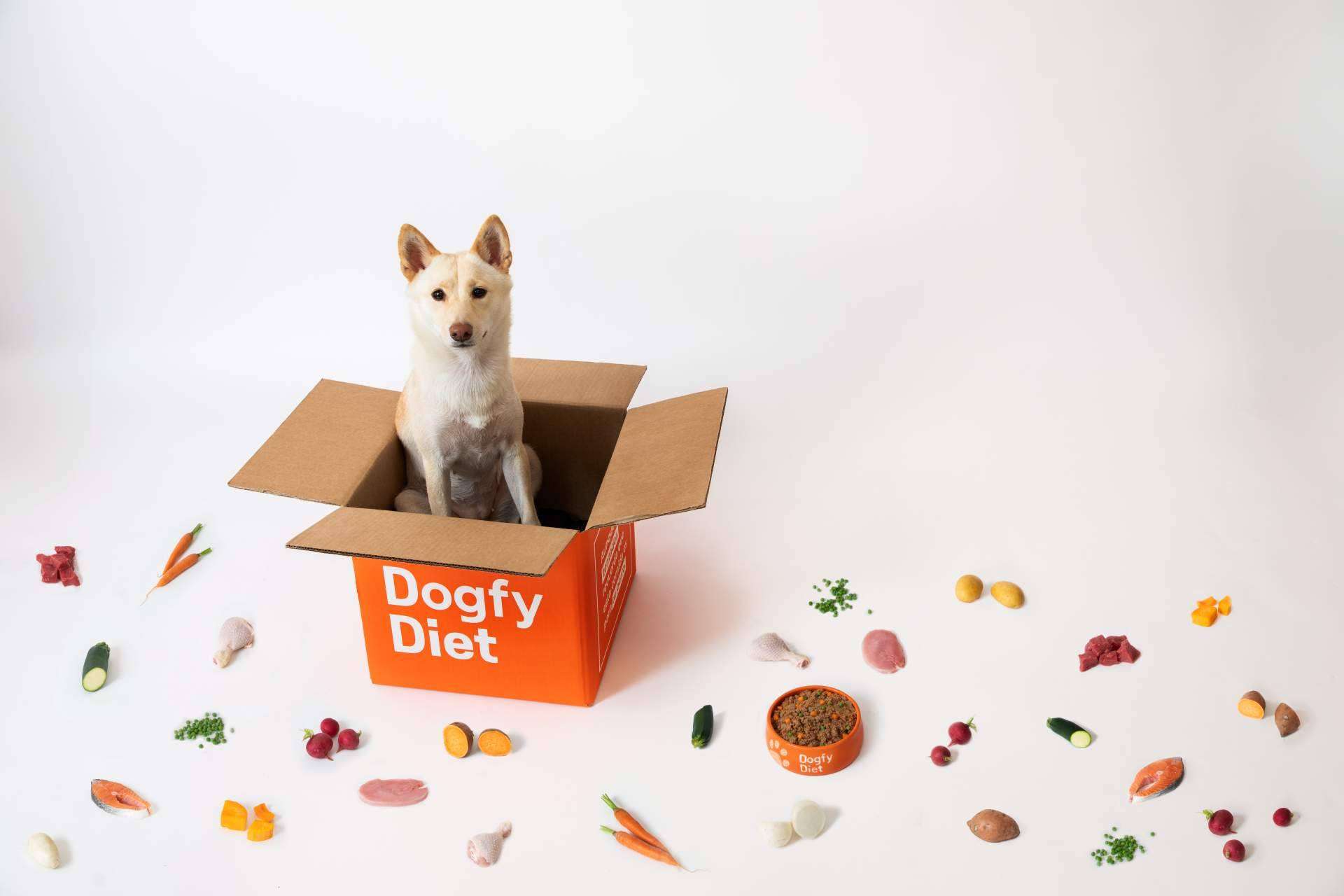 Dogfy Diet revoluciona la alimentación canina con comida natural personalizada