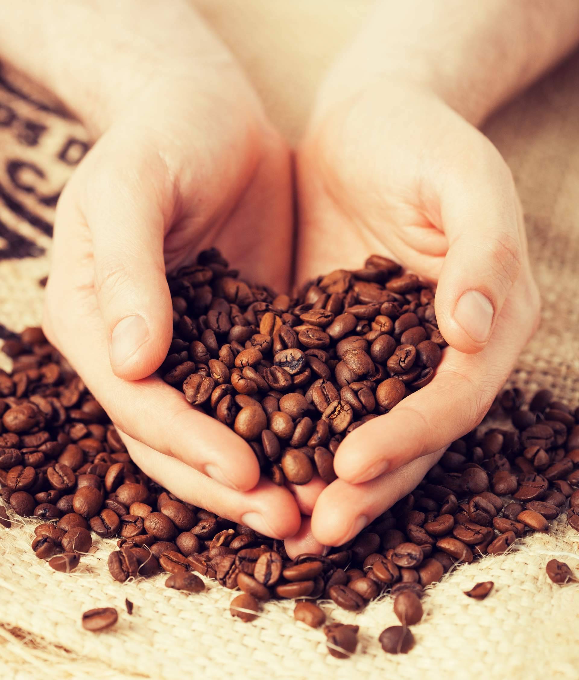 Fresh OCS destaca las ventajas del café de especialidad para oficinas frente al café comercial