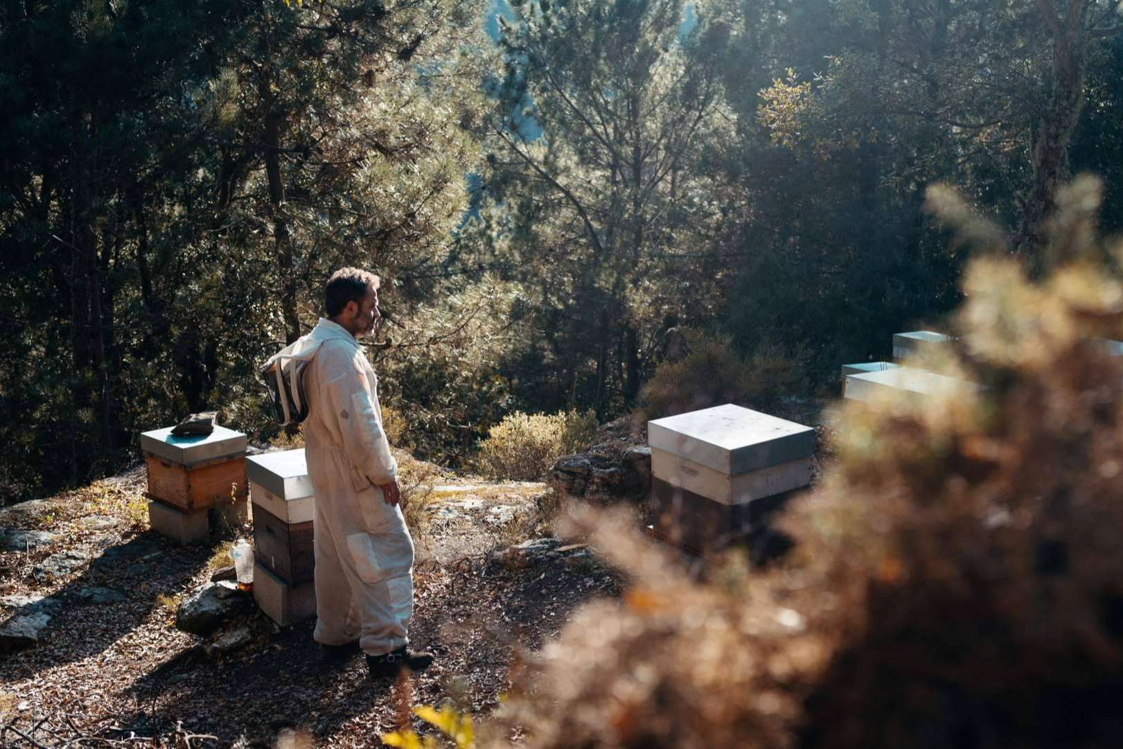 Maruxiña Cosmética, la esencia de la cosmética gallega con ingredientes naturales y ecológicos