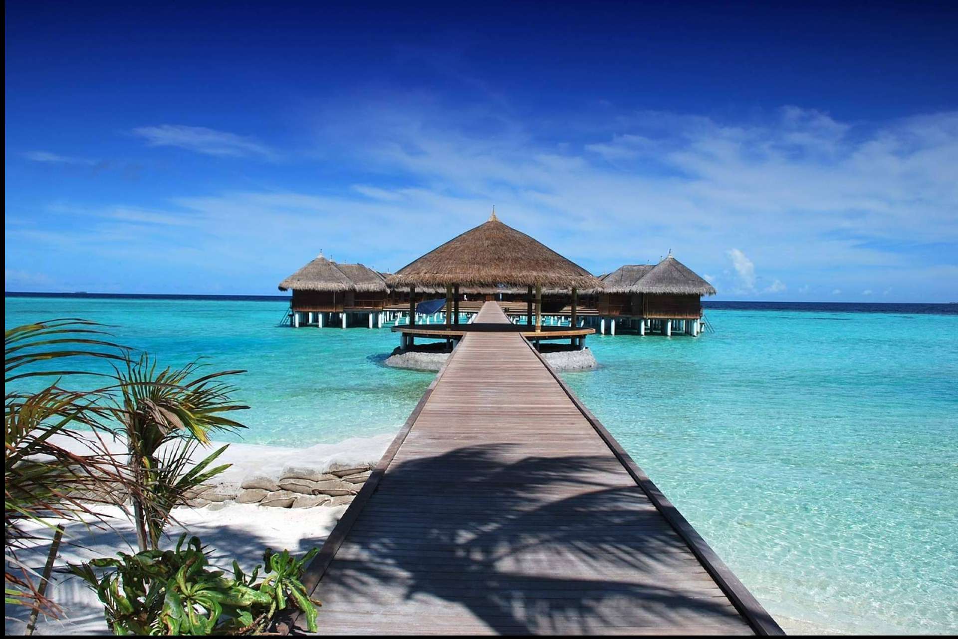 Viajes DQ presenta exclusivos viajes de novios 2025 a destinos de ensueño como Japón, Maldivas y Argentina