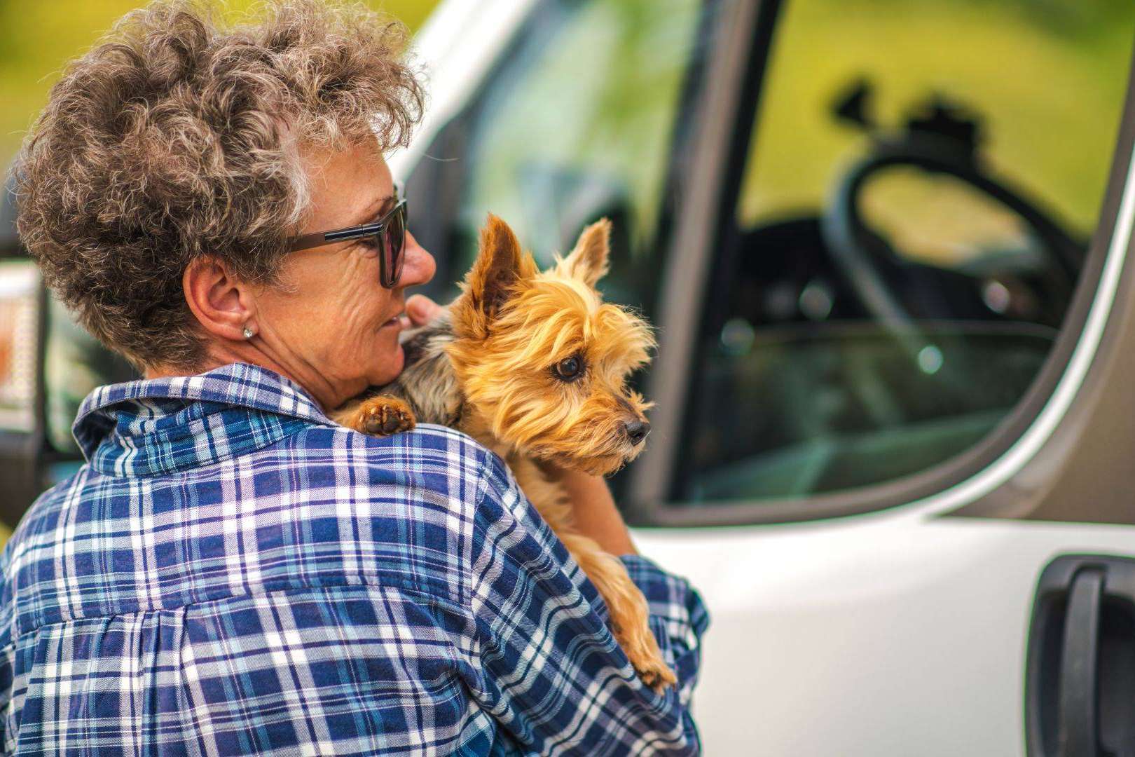 Cómo viajar con mascotas en autocaravana; Consejos para una ruta segura y sin estrés