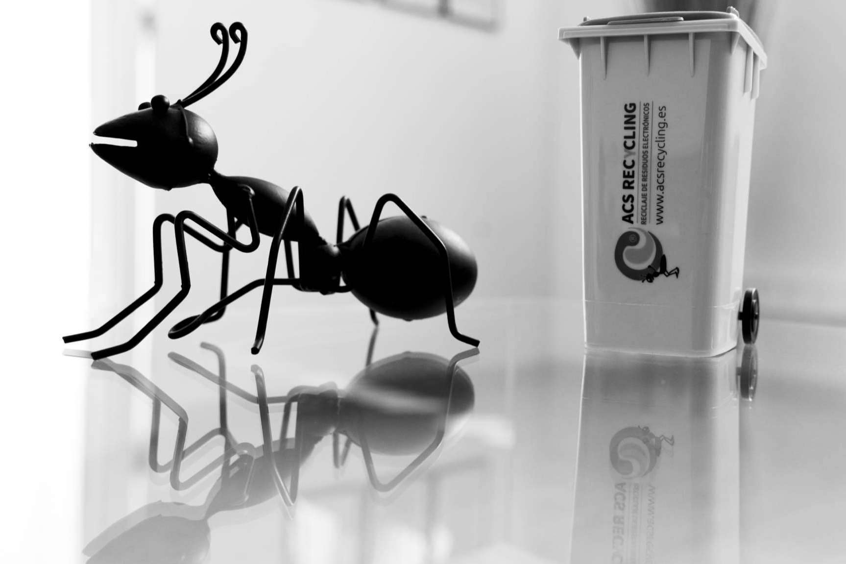 Cómo los residuos electrónicos afectan la biodiversidad terrestre