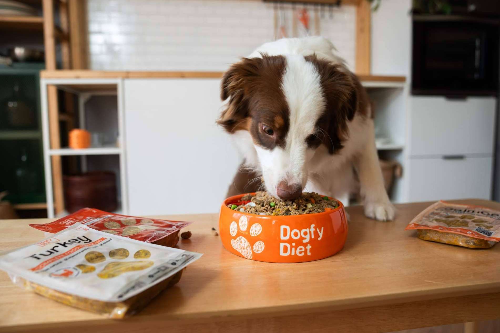 Dogfy Diet revoluciona la alimentación canina con comida natural a domicilio