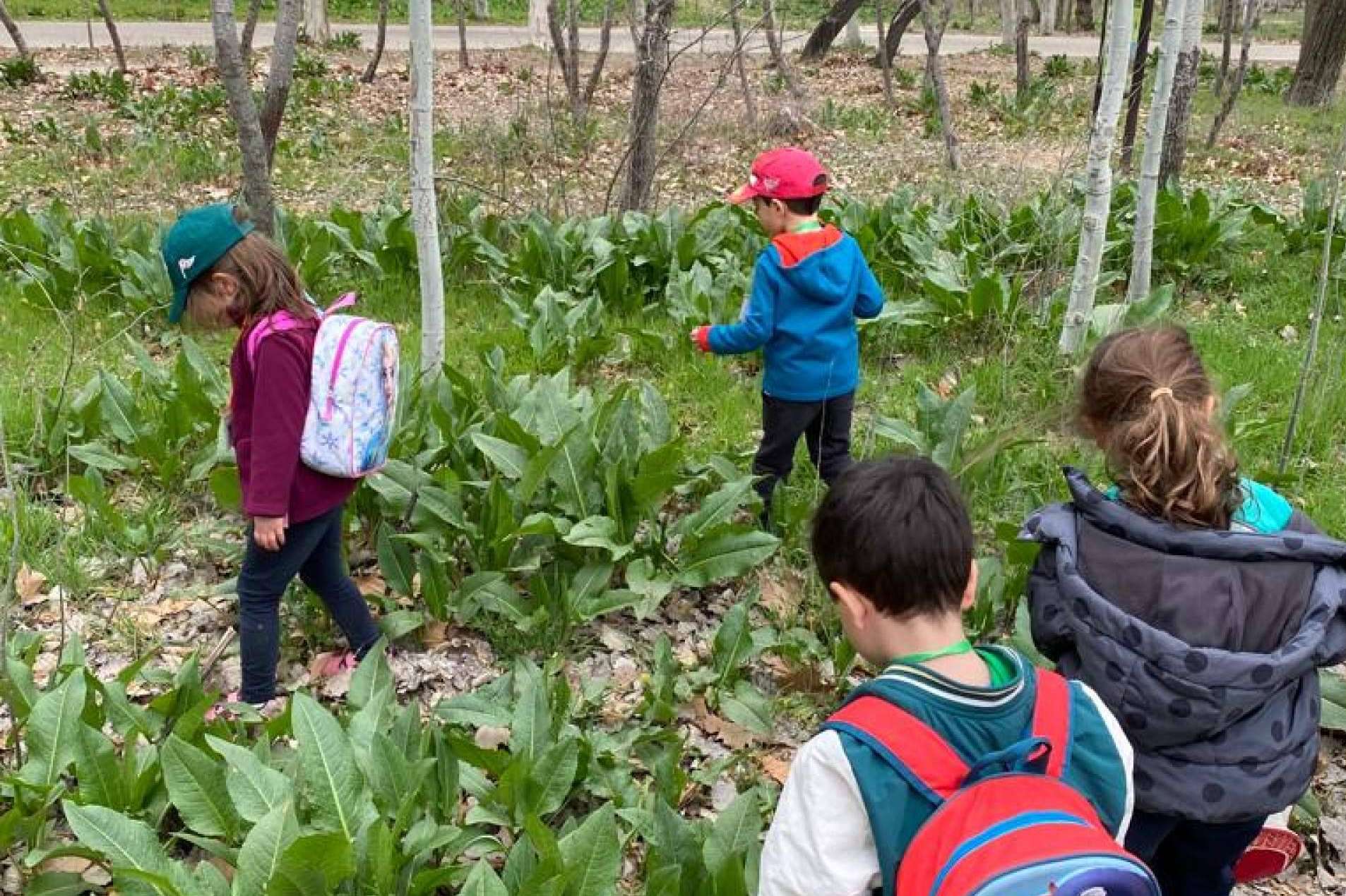 Escuela IDEO; un referente en educación infantil basada en la creatividad, la autonomía y el aprendizaje significativo
