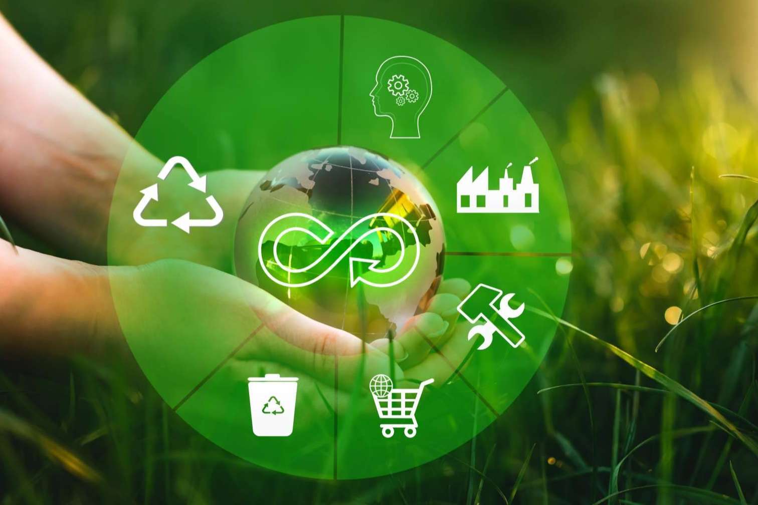 Economía circular y eficiencia energética para una industria sostenible