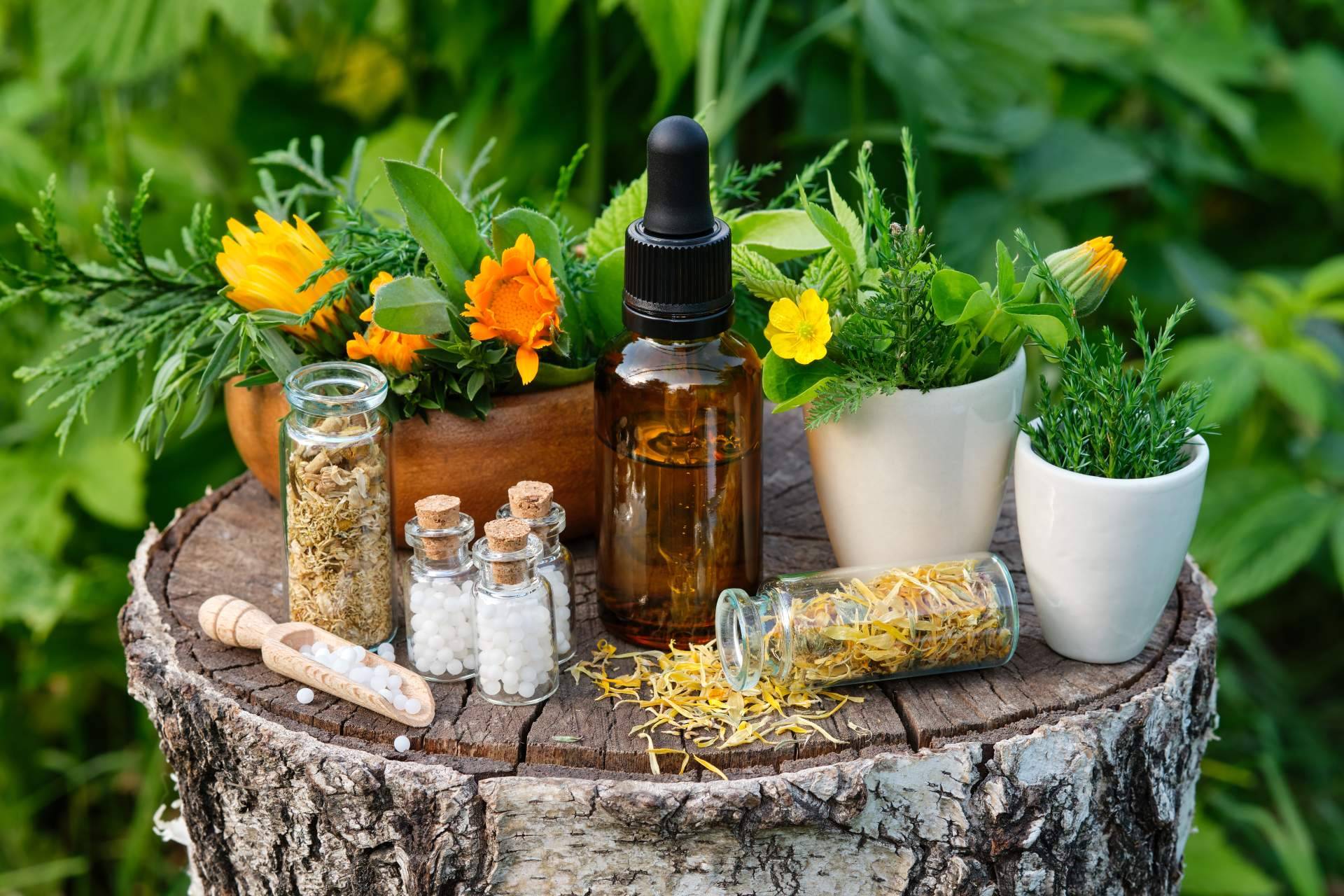 Formarse en Naturopatía, con Fortalecimiento Vital