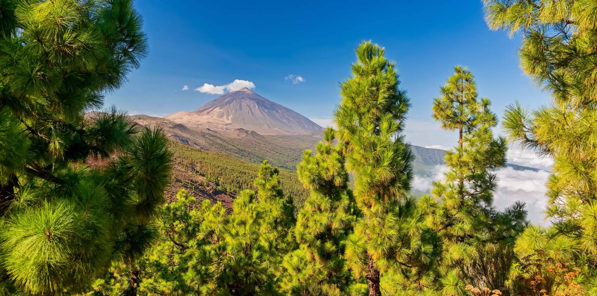 Las excursiones en Tenerife de Canarias.com consolidan su atractivo entre visitantes del archipiélago