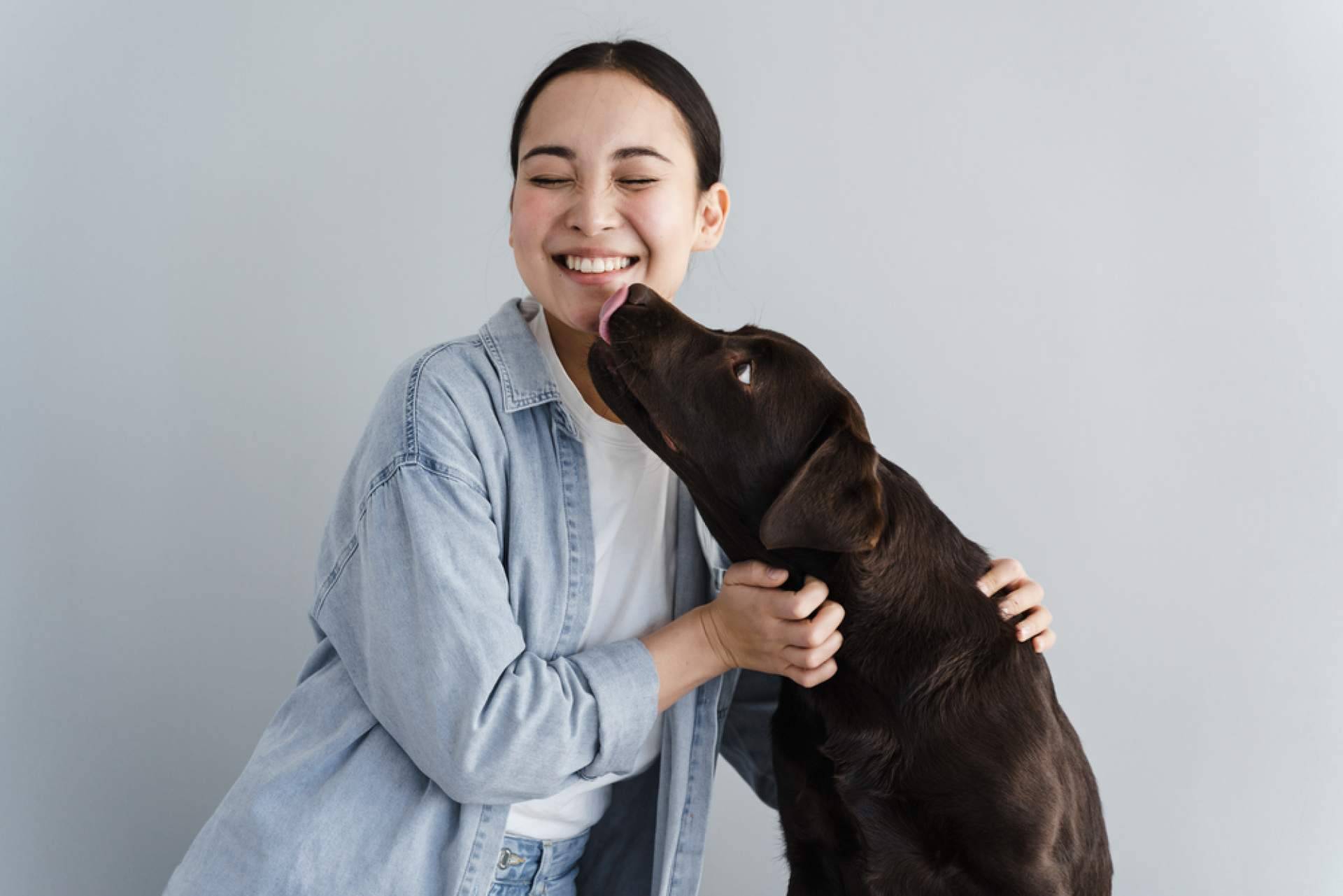 Las residencias de animales, la mejor opción para el bienestar de las mascotas cuando sus dueños viajan 