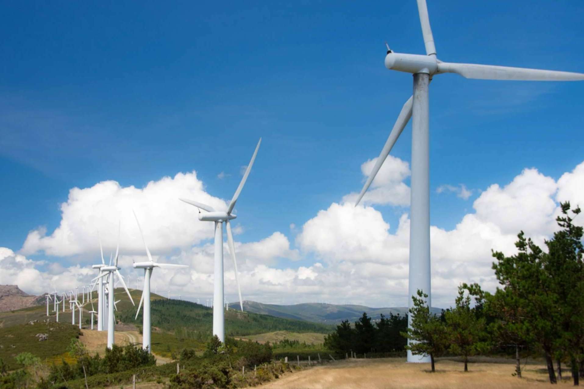 El crecimiento de la eólica sitúa a Aragón a la cabeza del mapa energético sostenible