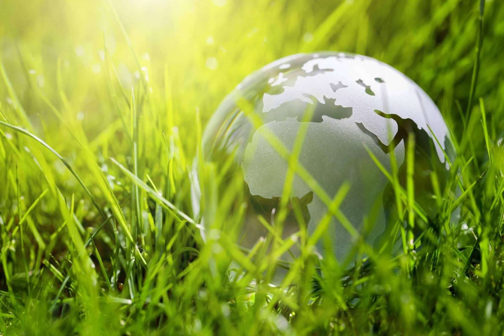 ECOticias.com alcanza millones de lectores mensuales en castellano e inglés con contenidos sobre medioambiente
