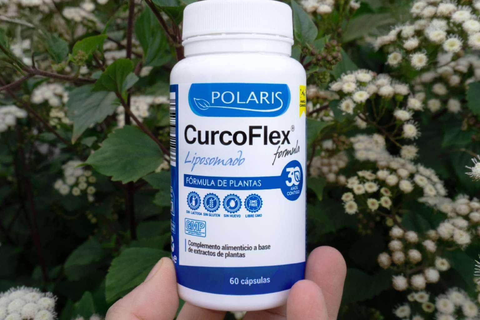El secreto dorado de la salud articular; el producto reformulado Curcoflex Liposomado de Polaris Formula