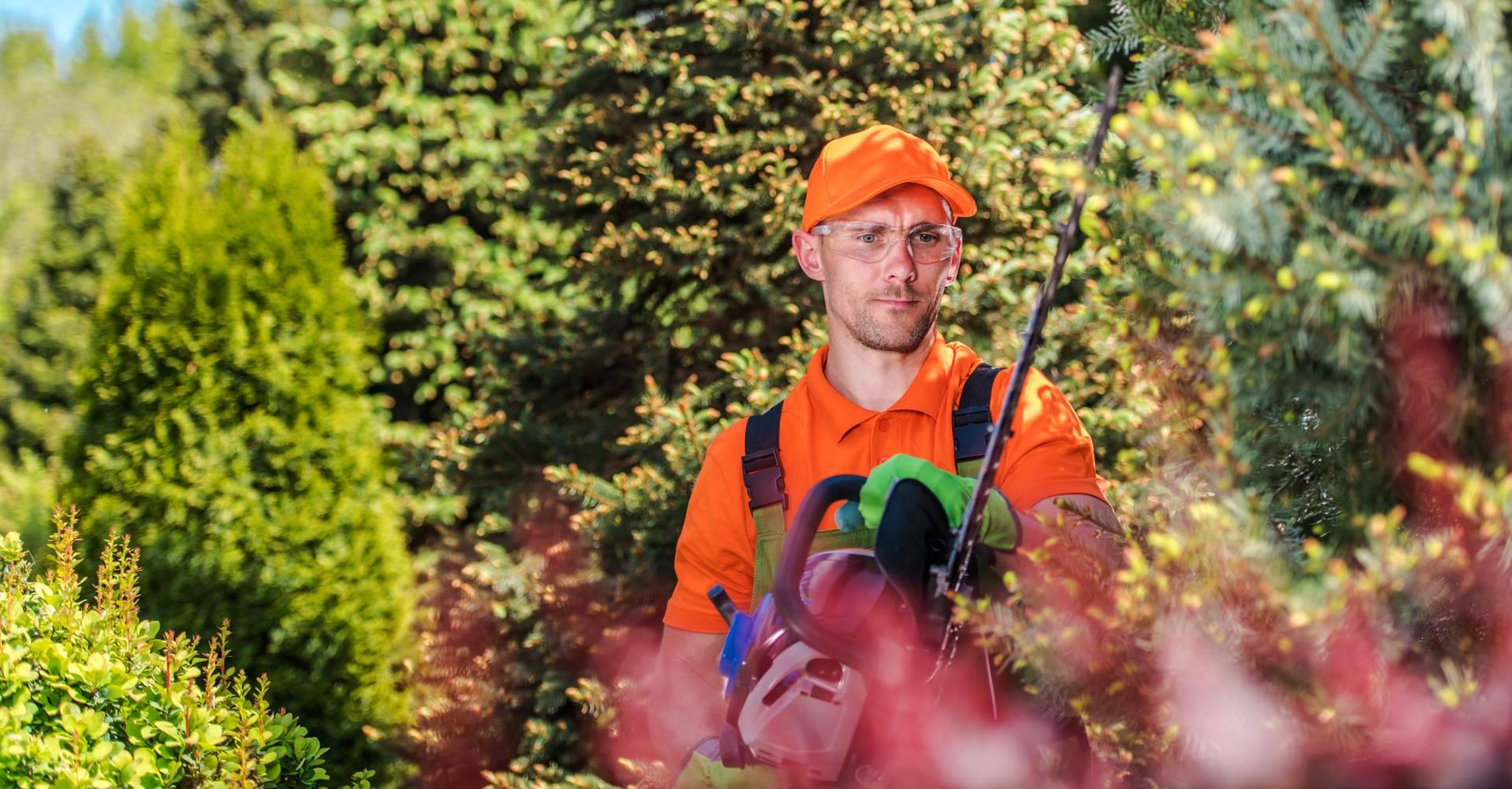 Redescubriendo el valor de los espacios verdes; servicios de jardinería en Barcelona