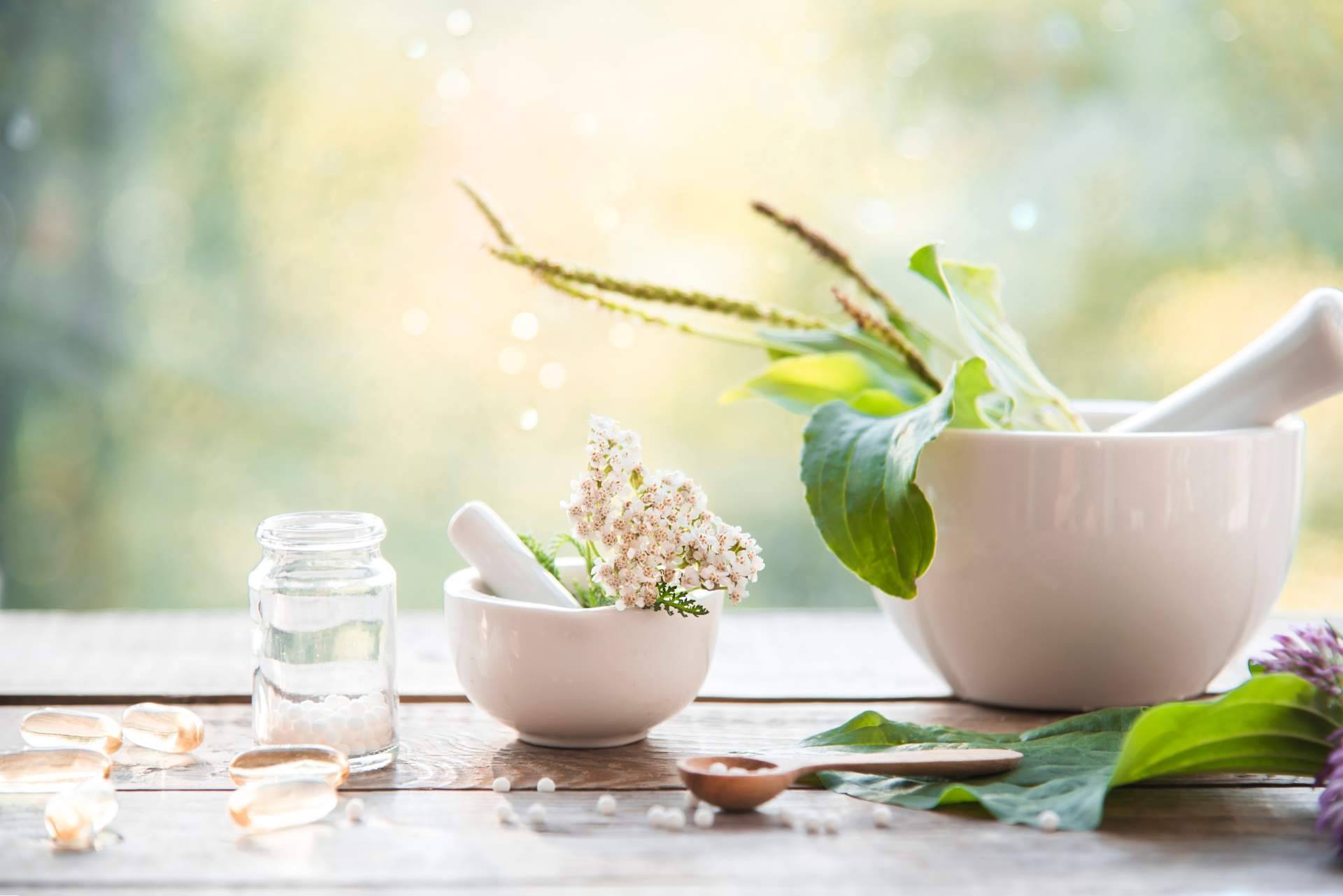 Fortalecimiento Vital ofrece un curso de naturopatía para aprender a aplicar las leyes de la naturaleza
