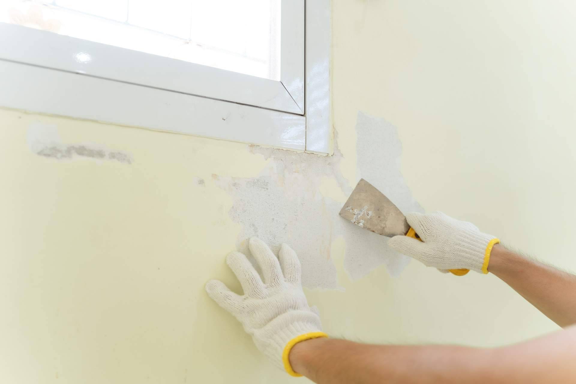 Guía práctica de cómo preparar las paredes para conseguir un acabado de pintura perfecto