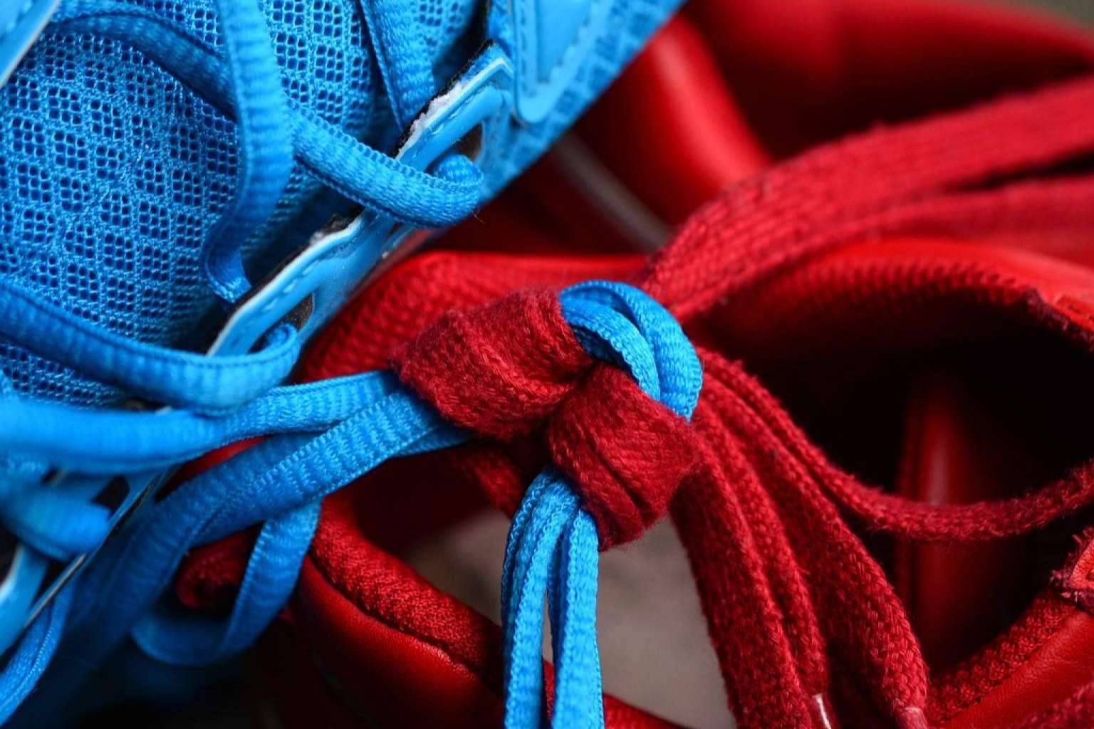 Cordones de Colores, la tienda de referencia especializada en cordones de zapatos y zapatillas
