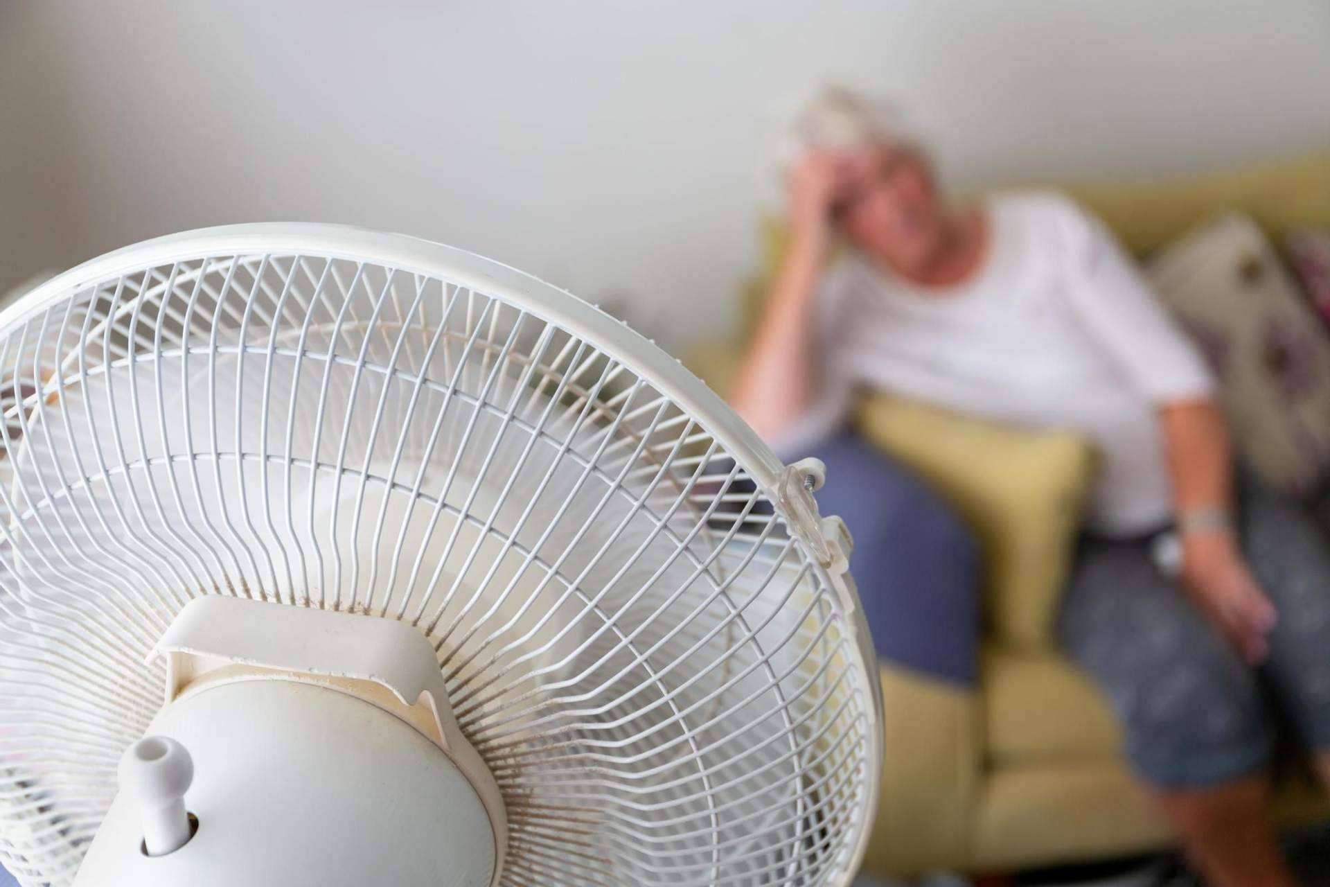 Bastilipo alerta sobre la venta de ventiladores asiáticos que incumplen las normativas de seguridad europeas