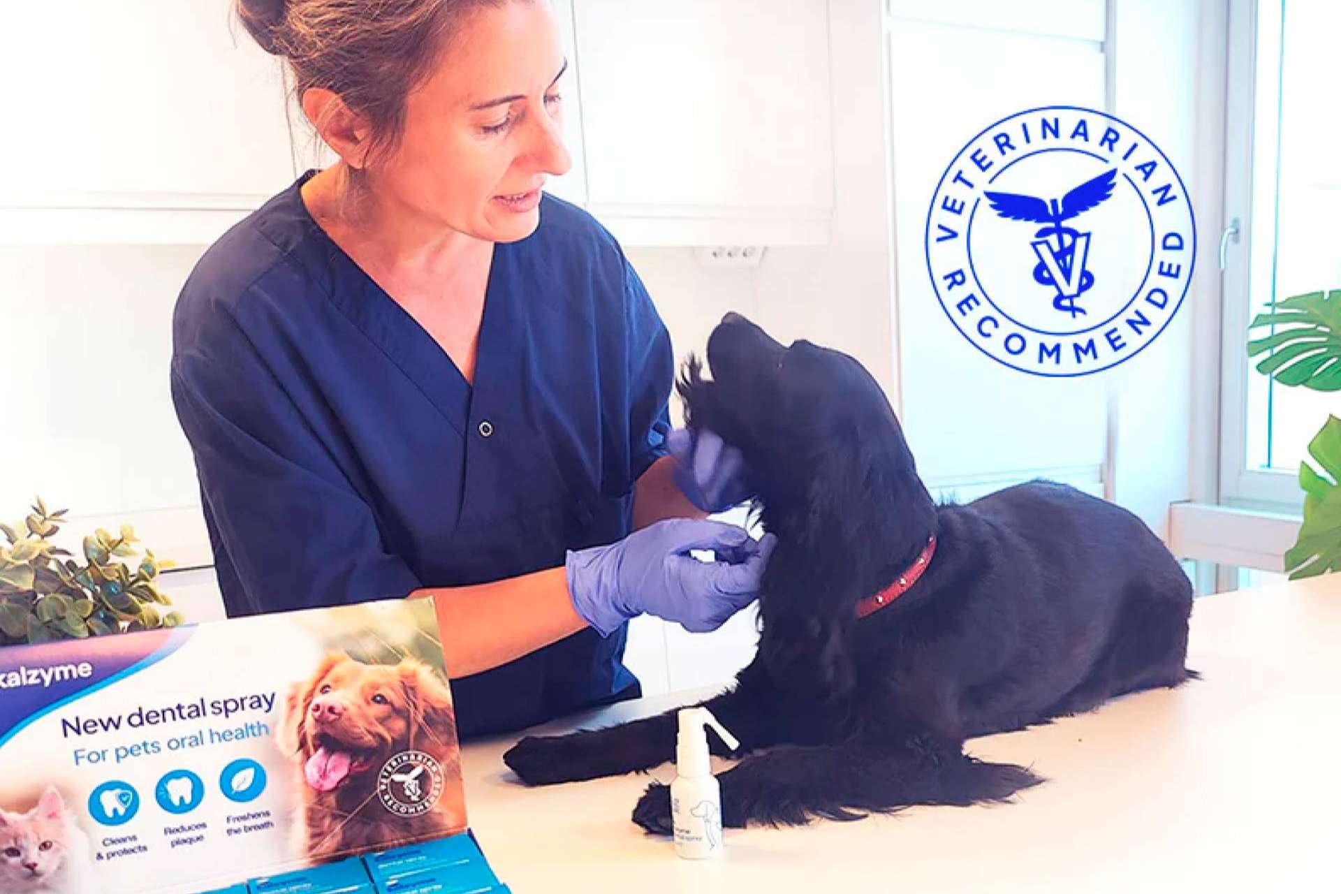 Adiós al sarro y al mal aliento; así protege Kalzyme la boca de las mascotas