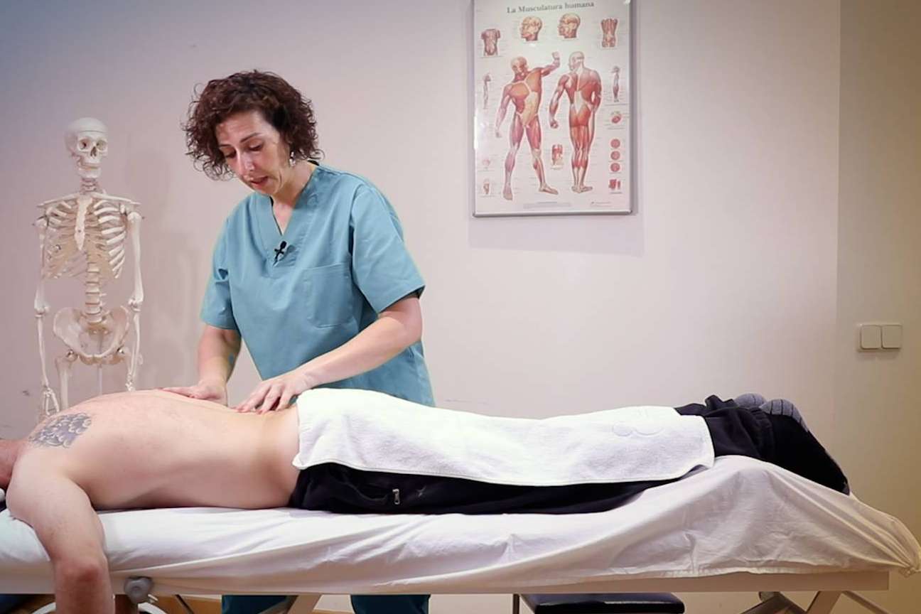 Formación profesional accesible, ISED abre matriculas en áreas como veterinaria, quiromasaje y estética