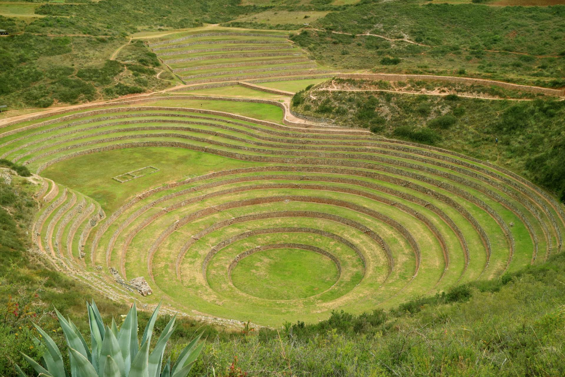 Cocatambo ofrece hospitalidad andina auténtica en Ollantaytambo