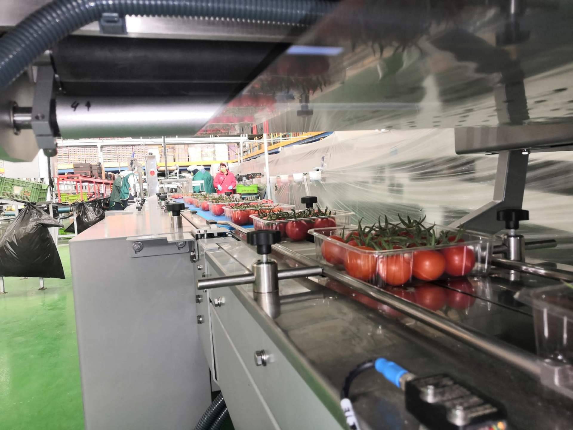 Máquinas de envasado BELCA para reducir costes a final de línea