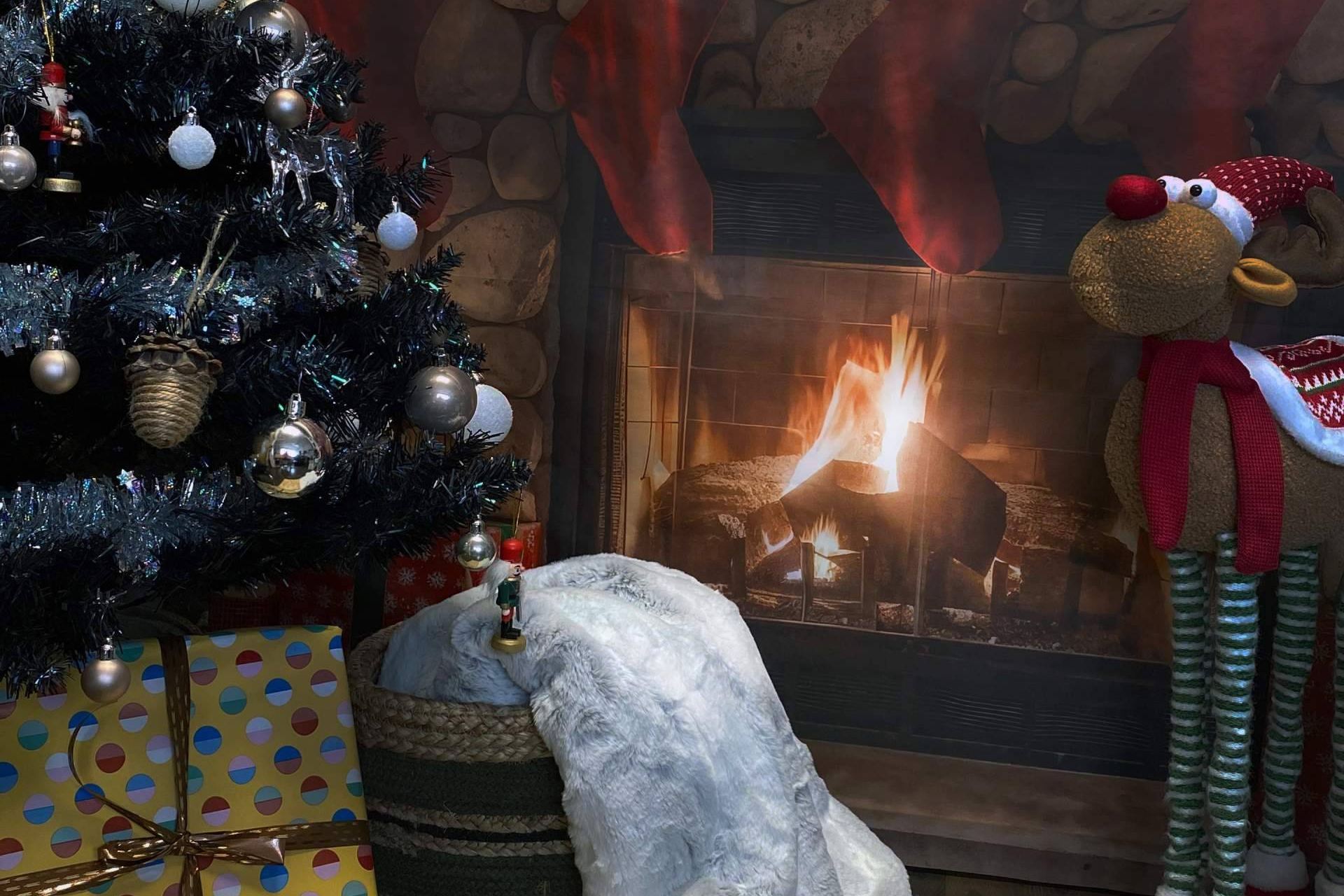 Navidad con estilo en casa; la tienda de decoración Hogar y Más presenta su propuesta más acogedora